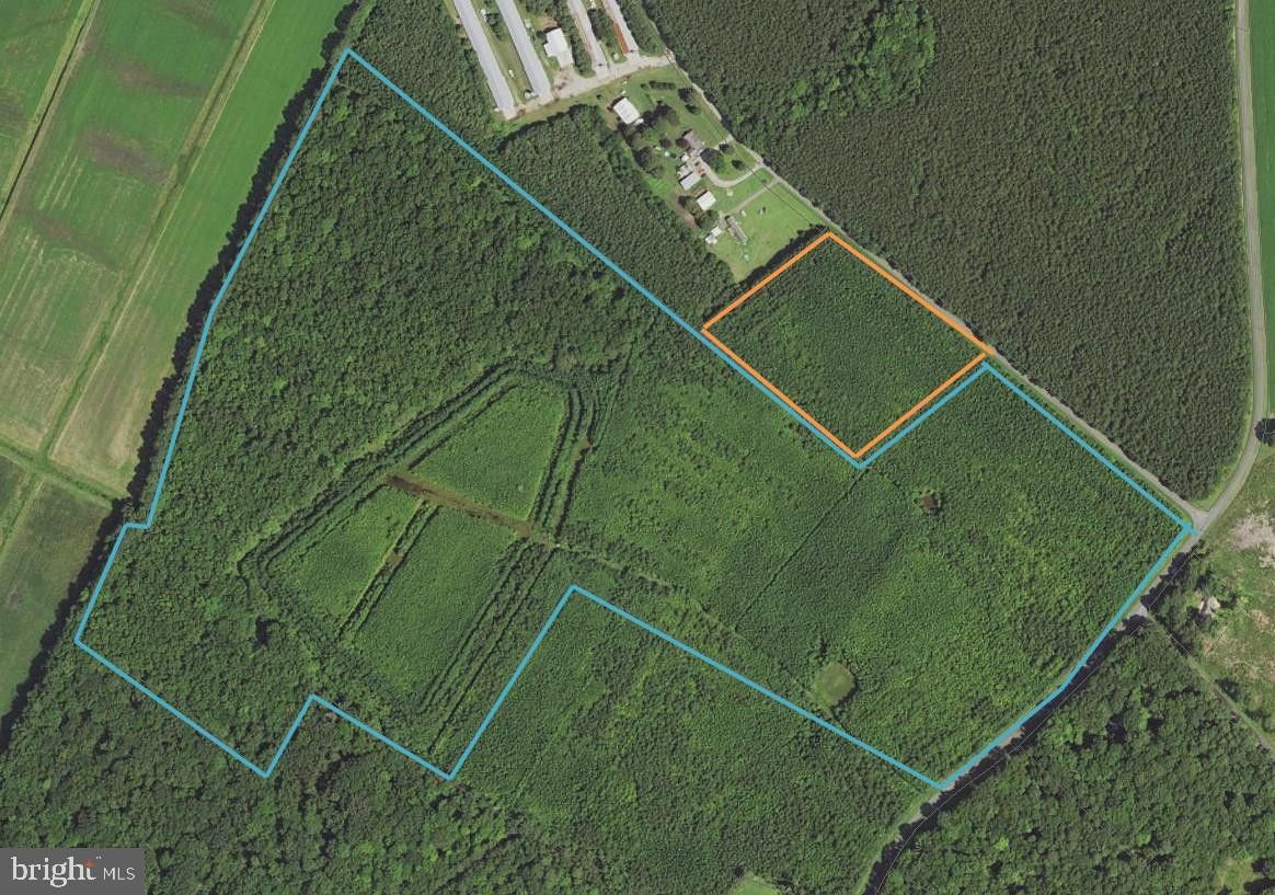 80 acres in Worcester County, Maryland