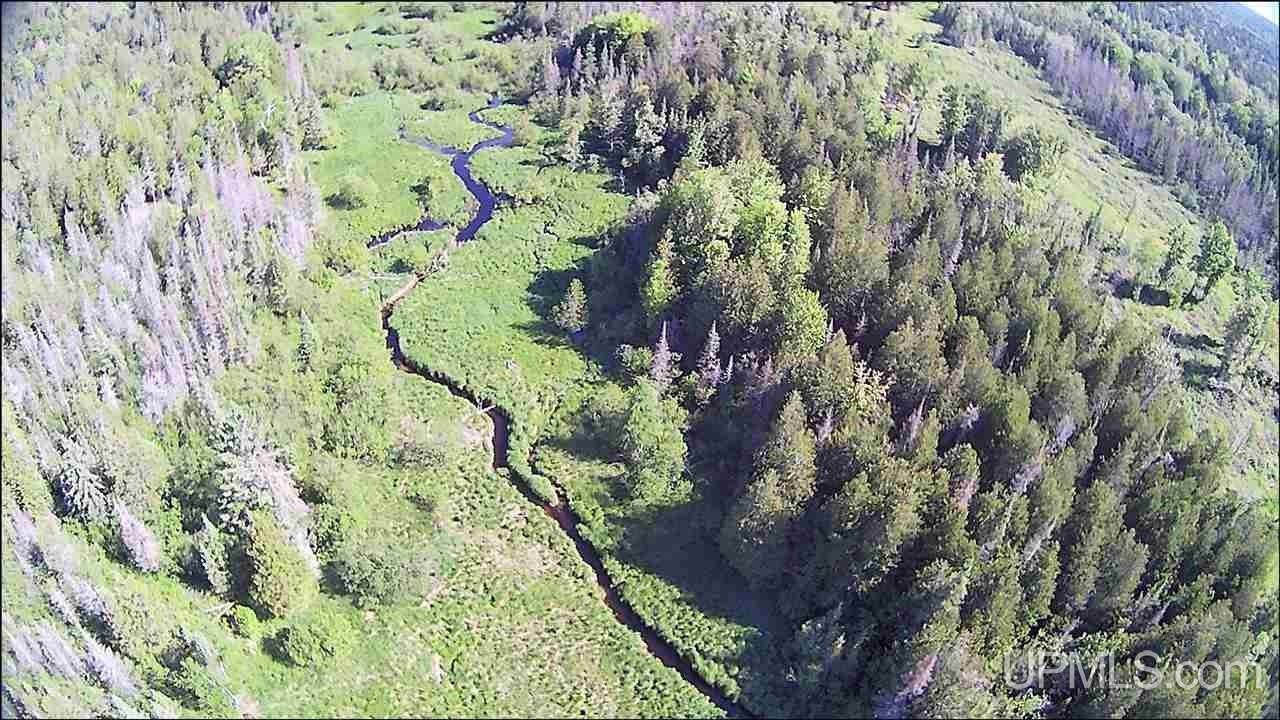 120 acres in Delta County, Michigan