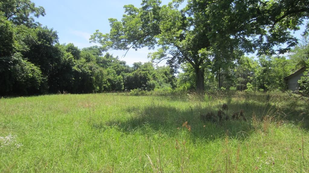 2.85 acres in Peach County,