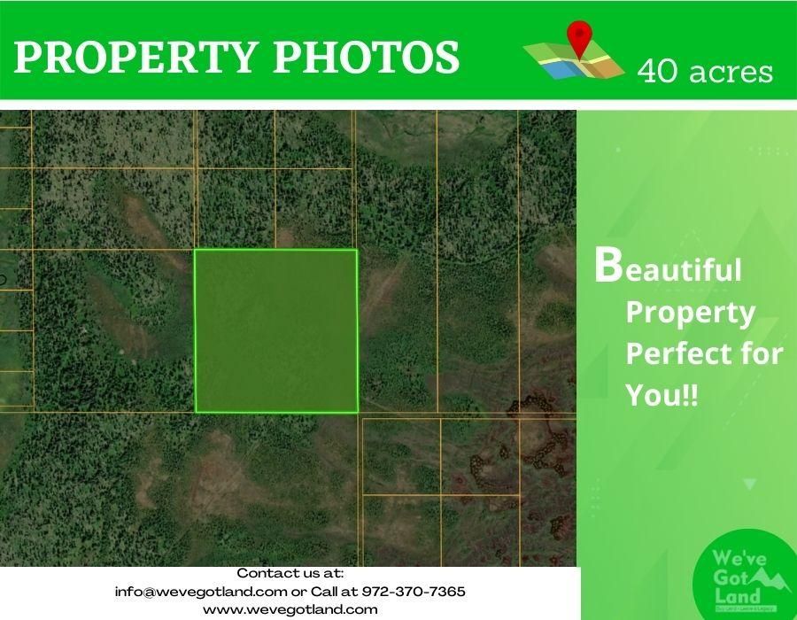 40 acres in Kenai Peninsula Borough, Alaska