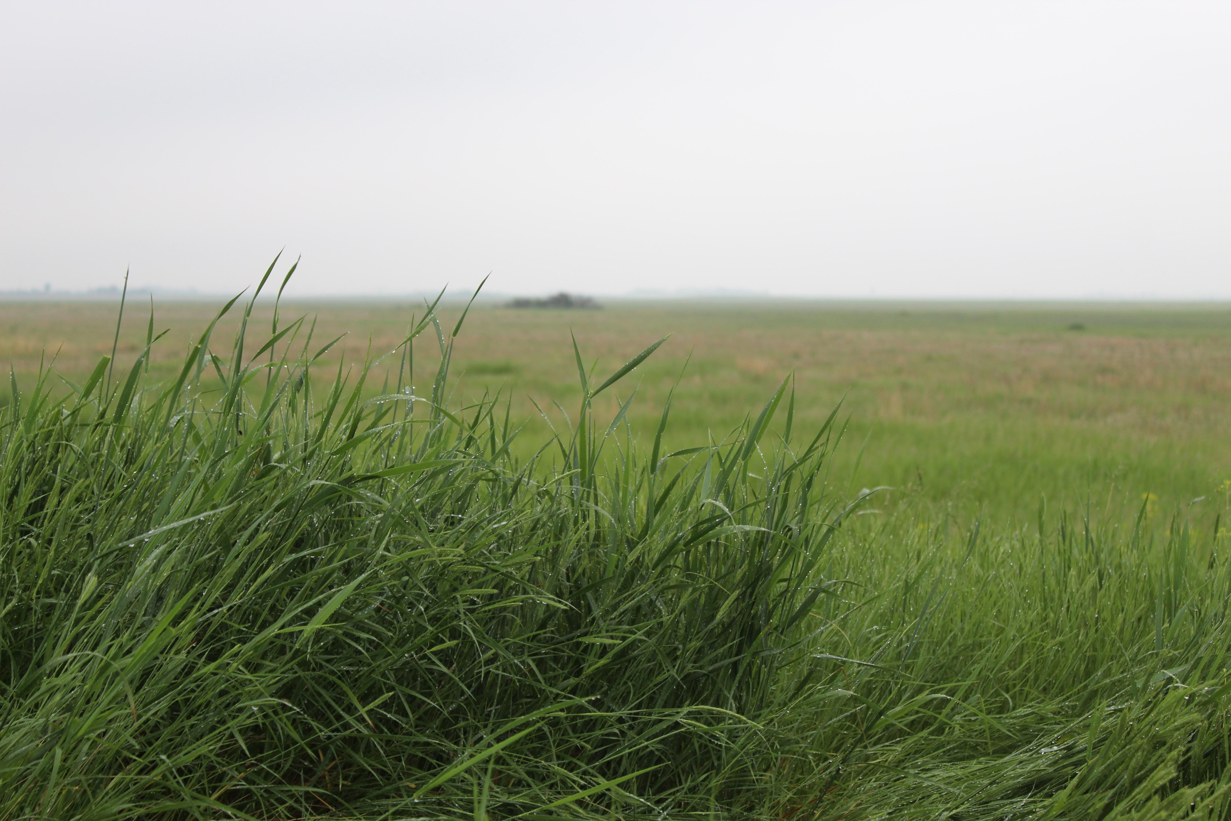 80 acres in Columbus, ND, 58727