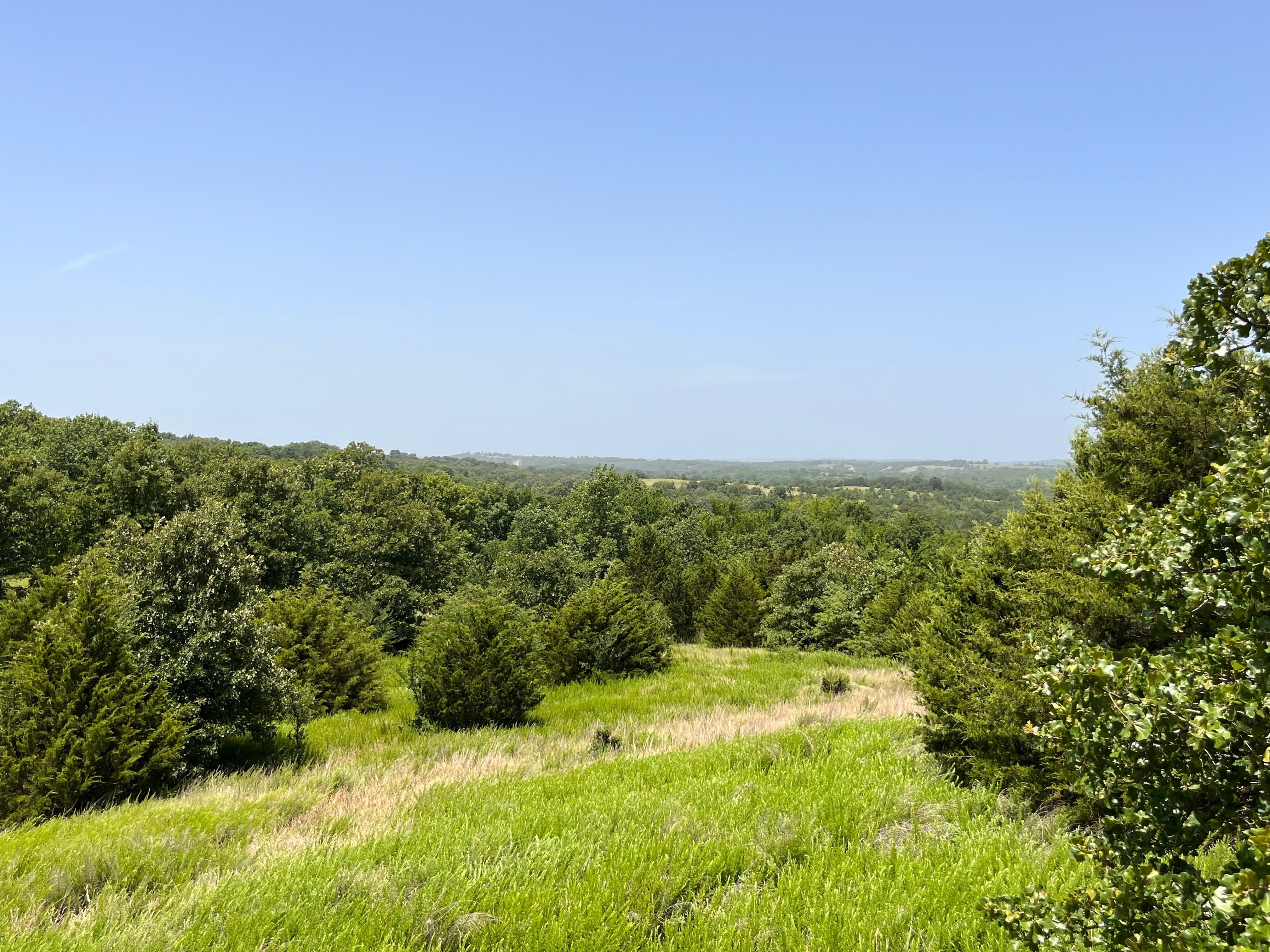 60 acres in Coal County, Oklahoma