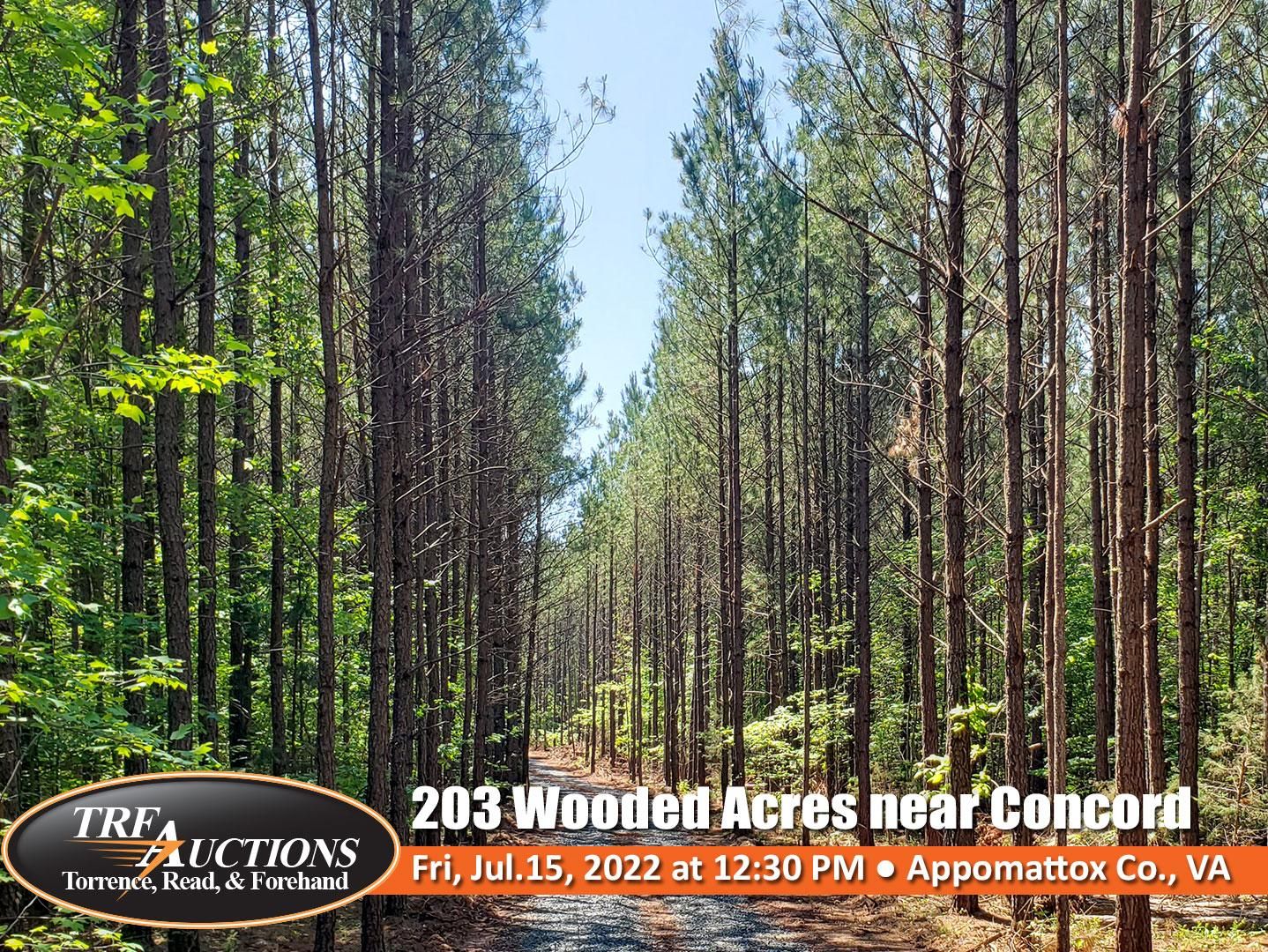 Paradise rd, Concord, VA 24538