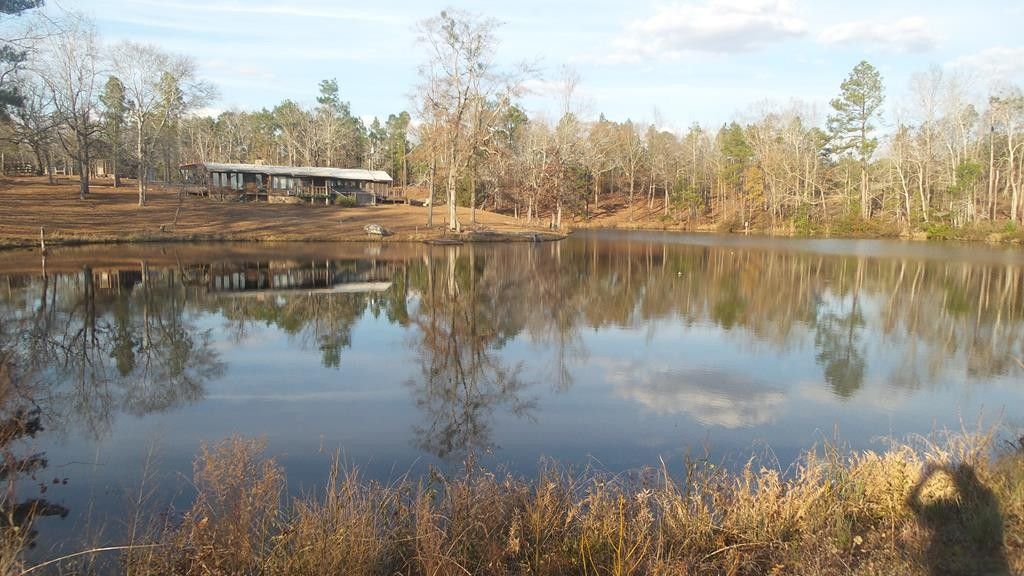 25 acres in Marion County,