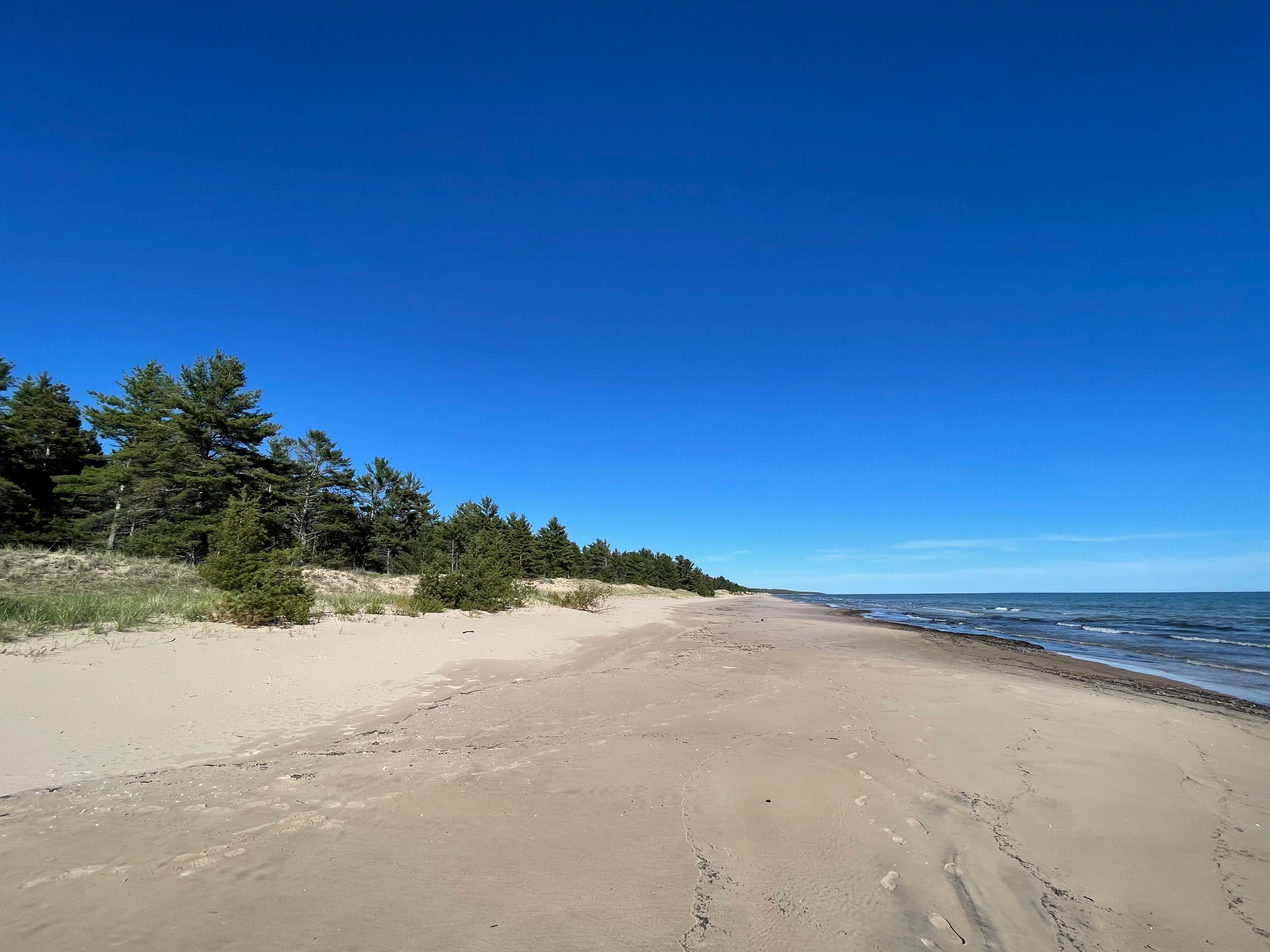 200 acres in Schoolcraft County, Michigan