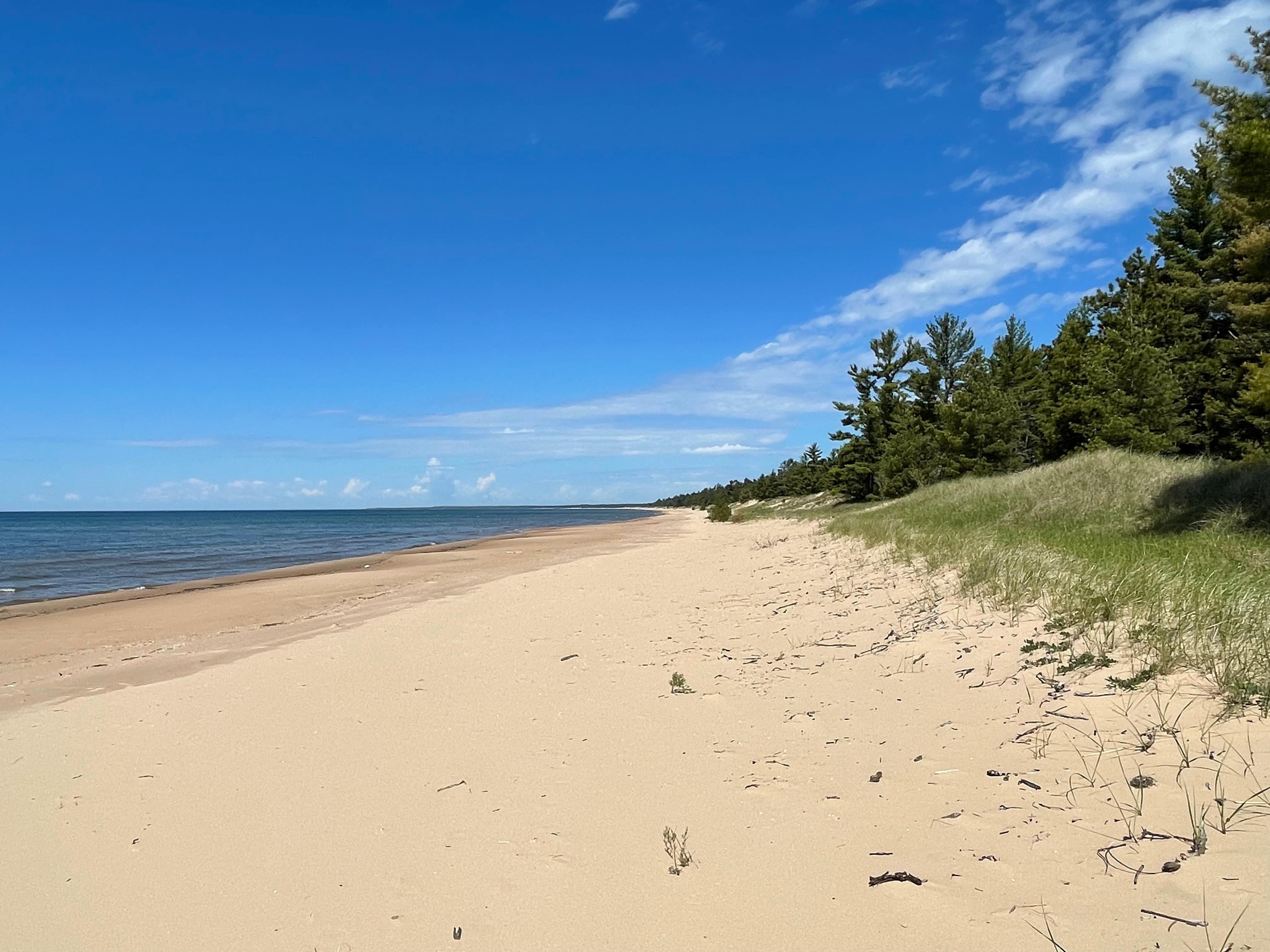 55 acres in Schoolcraft County, Michigan