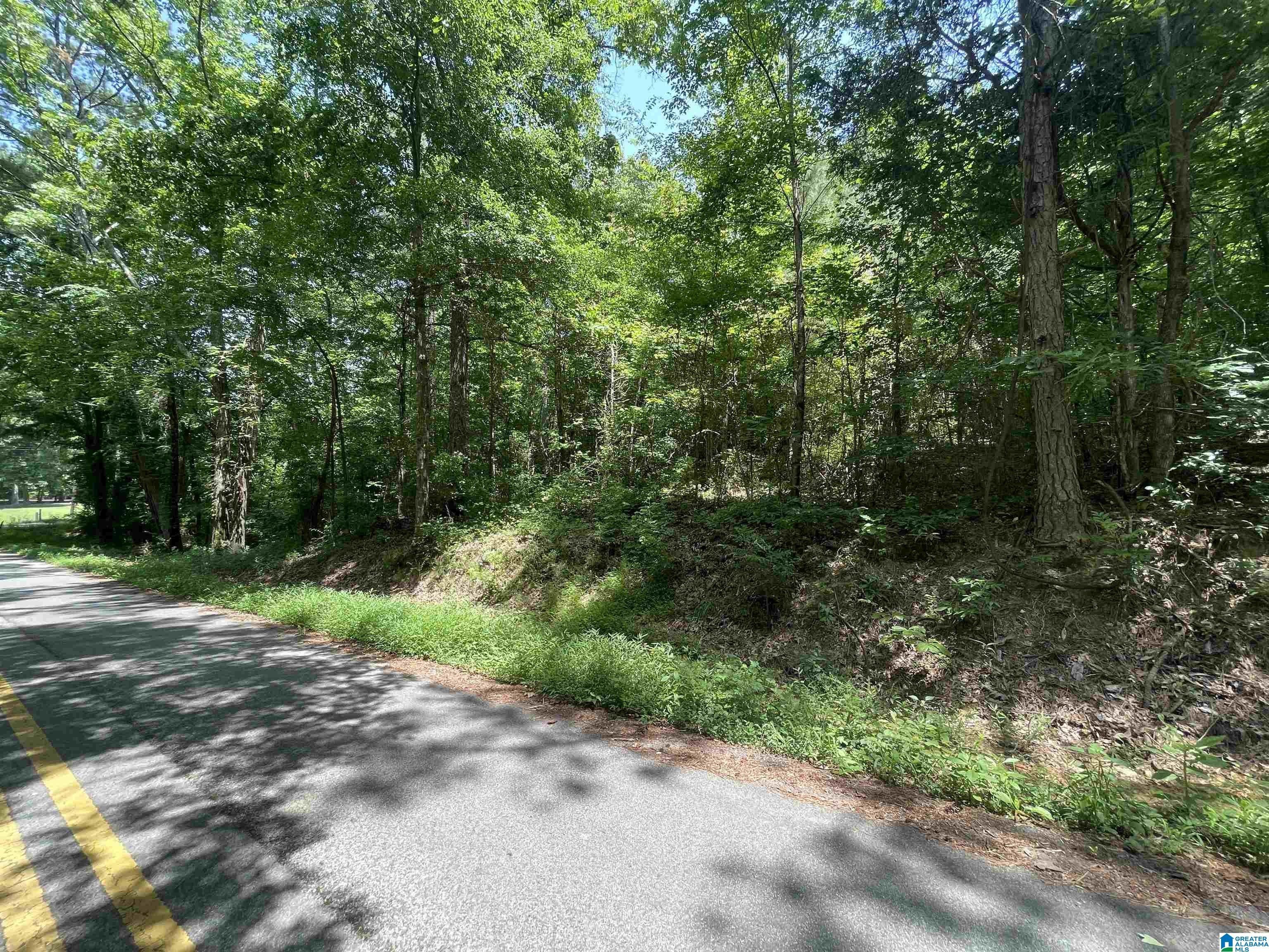 3 acres in Cherokee County, Alabama