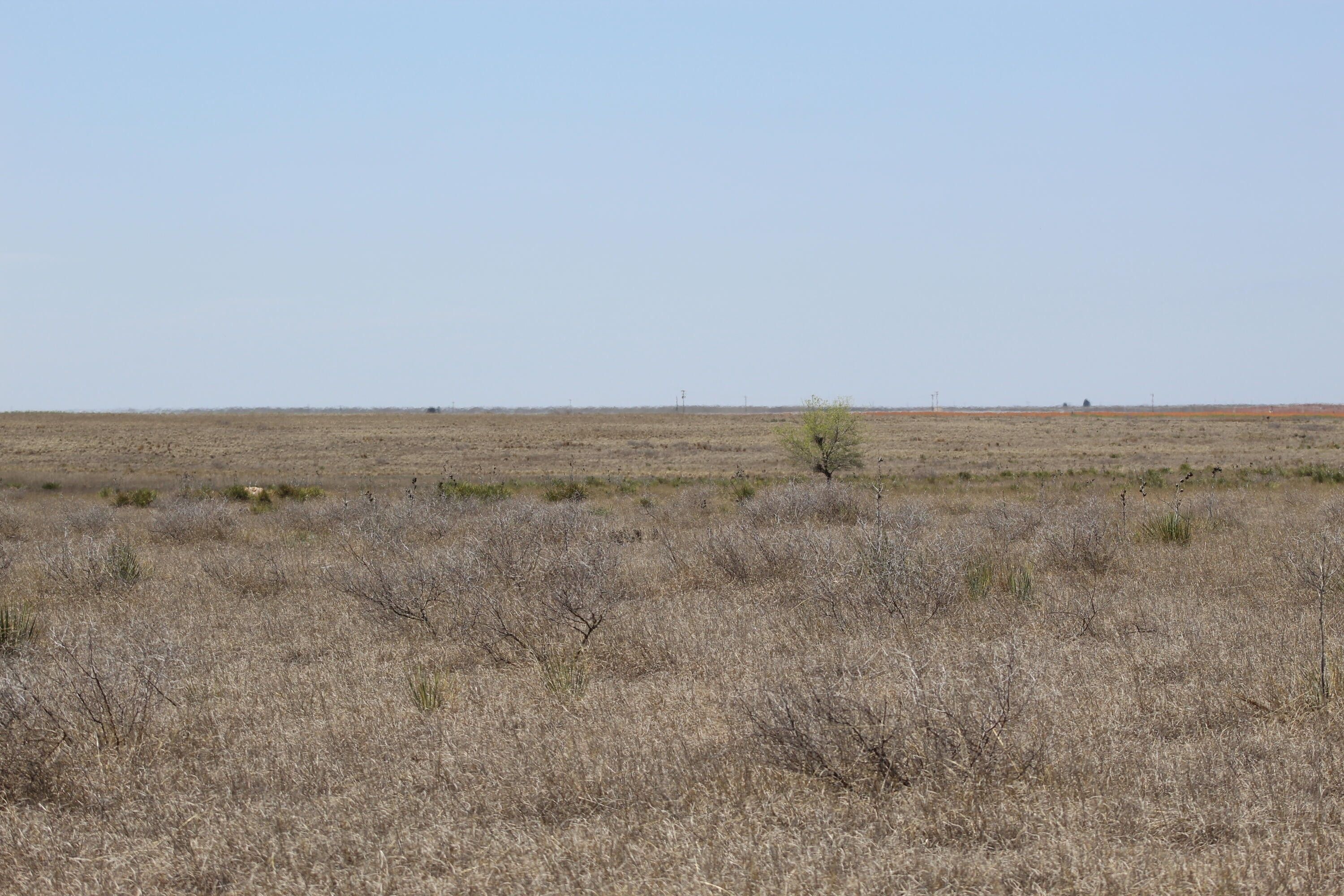 171.71 acres in Cochran County, Texas