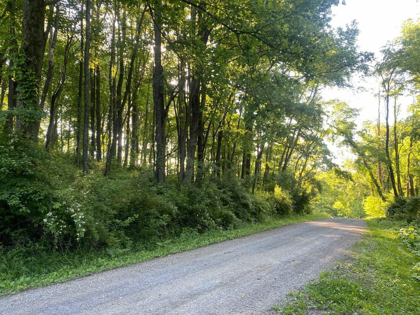 2 acres in Preston County, West Virginia