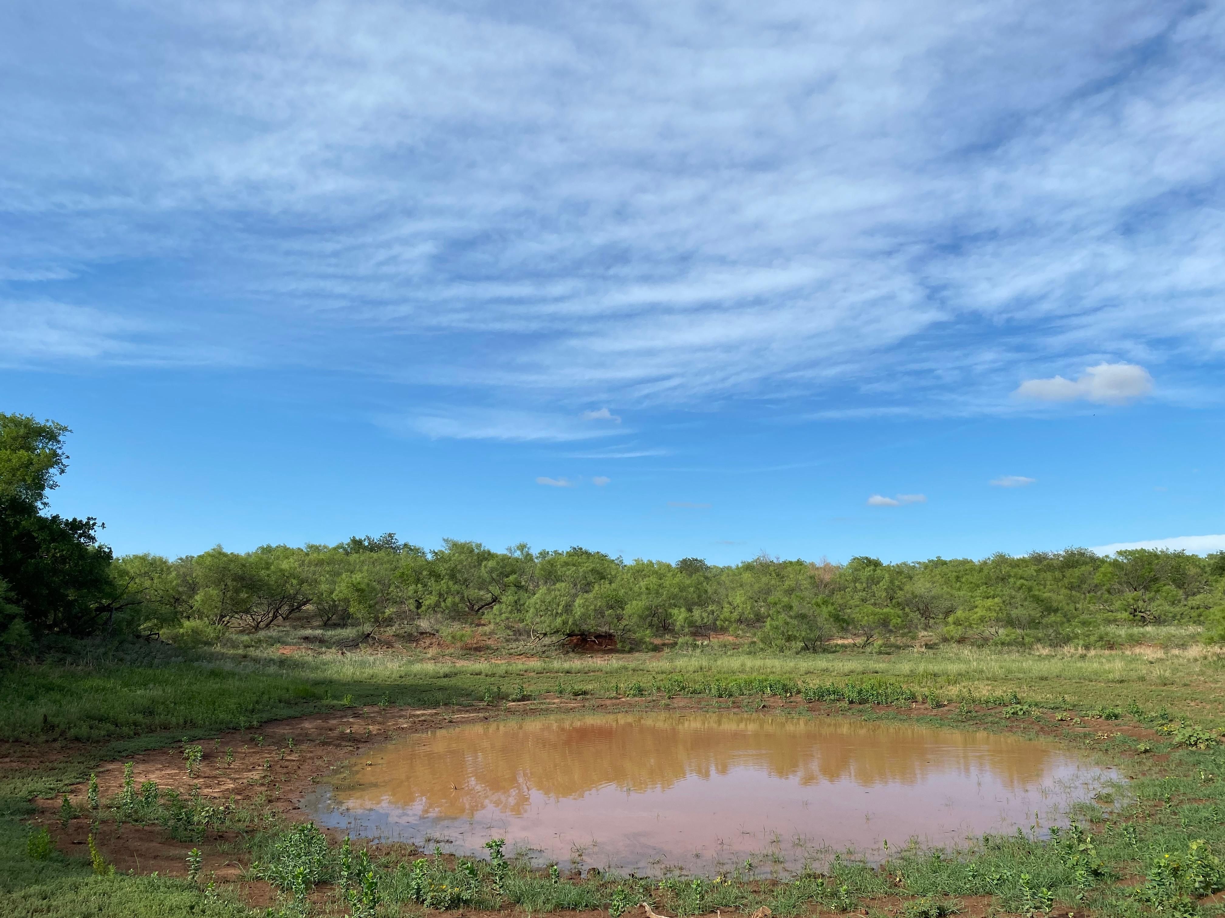 160 acres in Greer County, Oklahoma