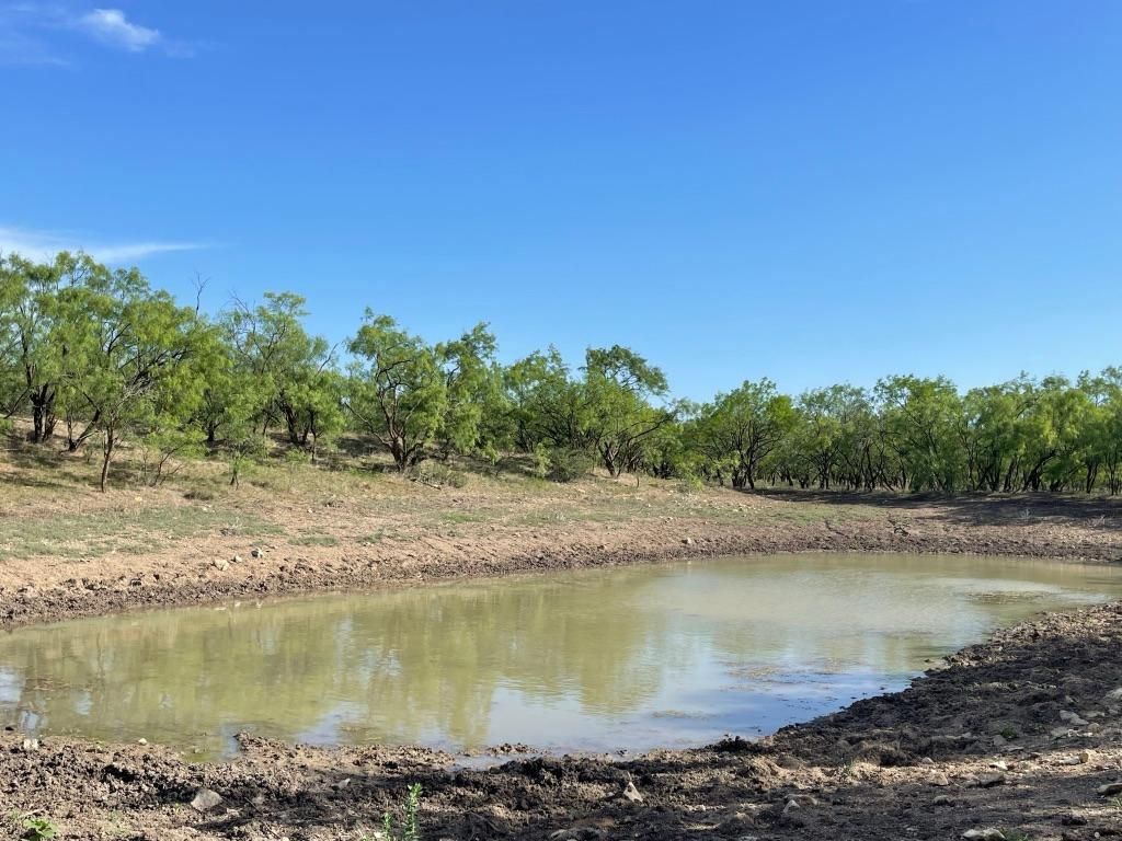 58 acres in Coleman County, Texas