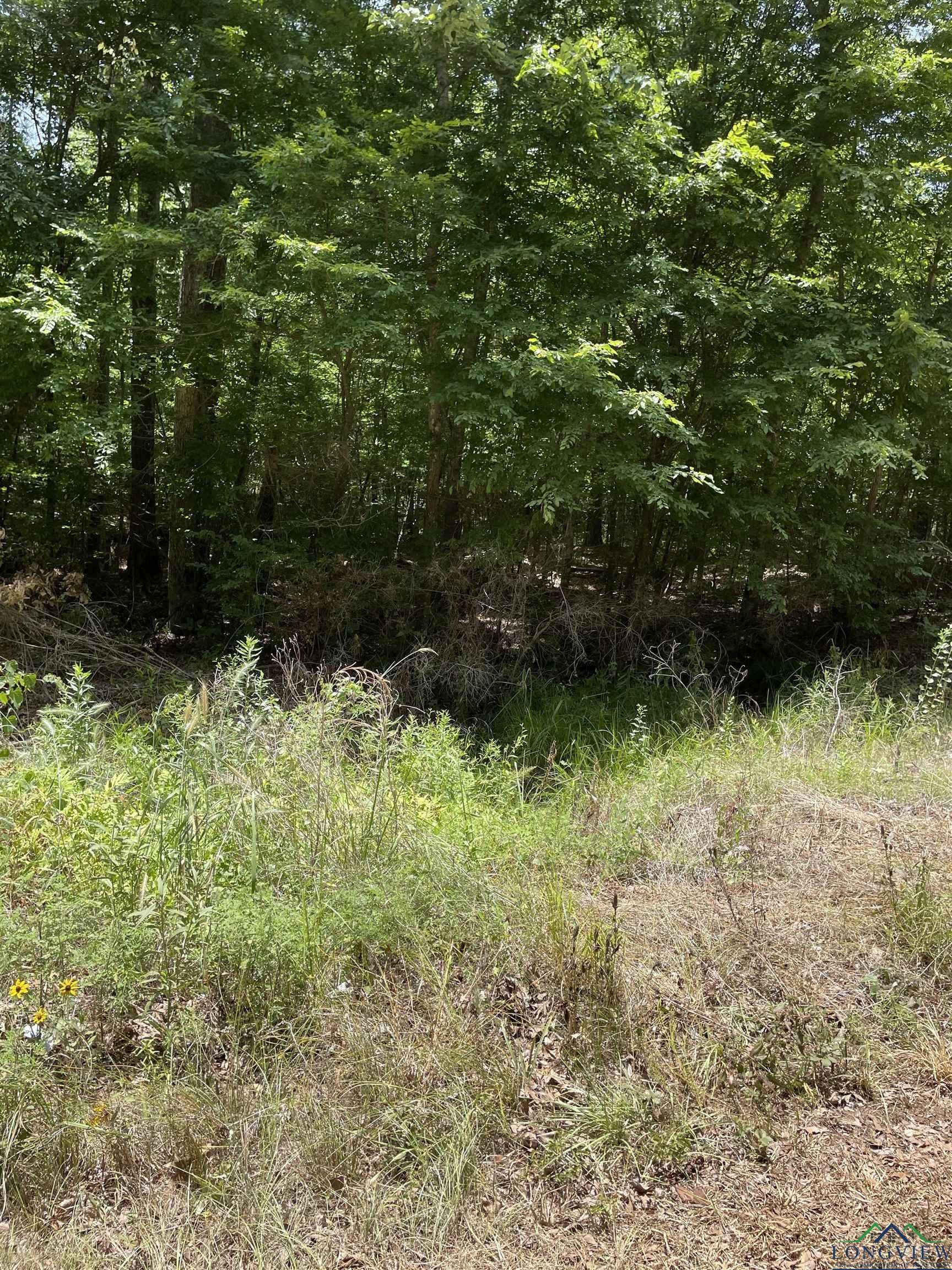 10.21 acres in Rusk County, Texas