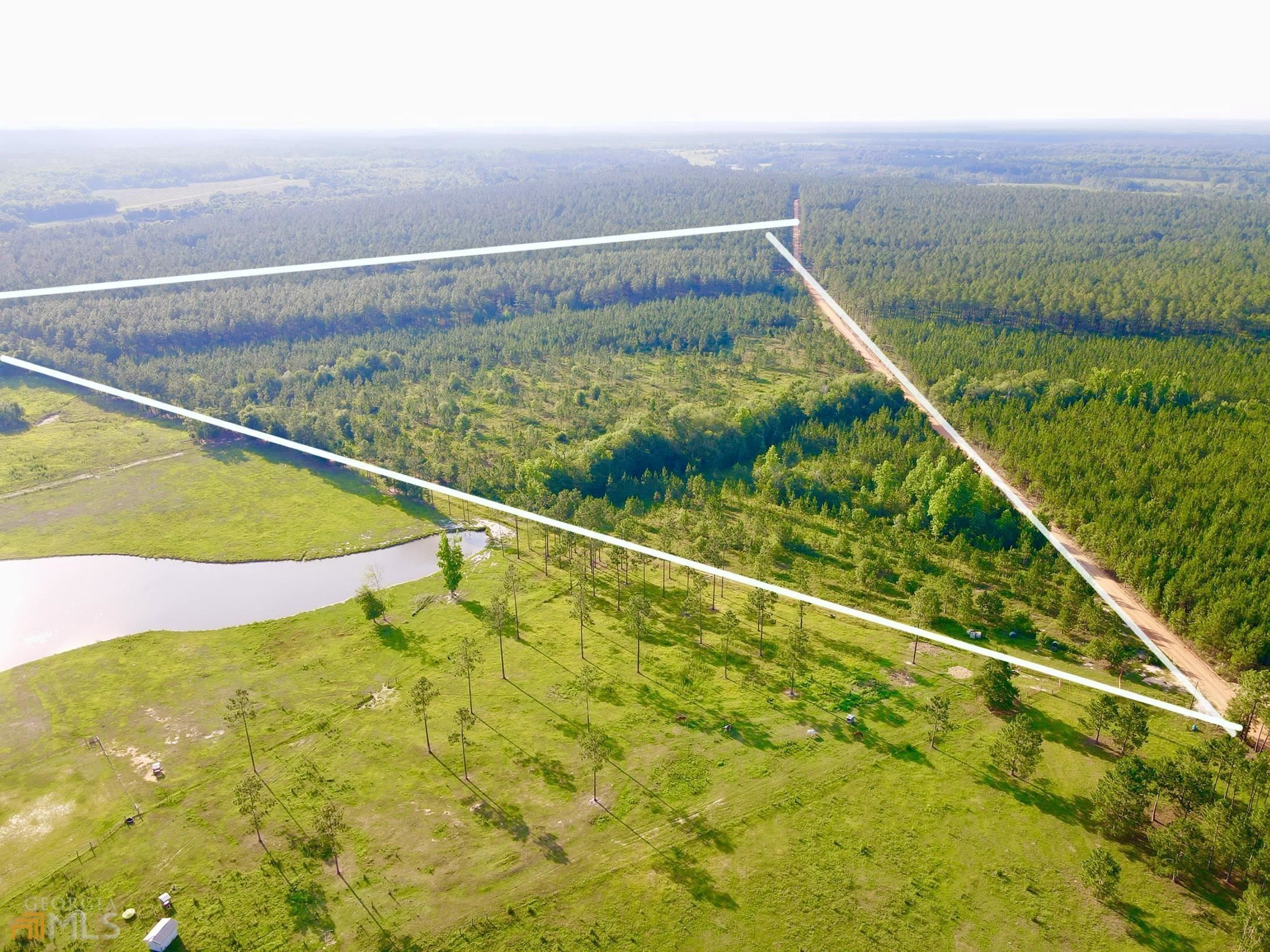 40 acres in Ben Hill County,