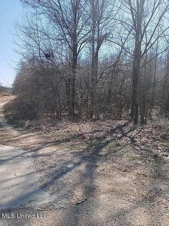 10 acres in Marshall County, Mississippi