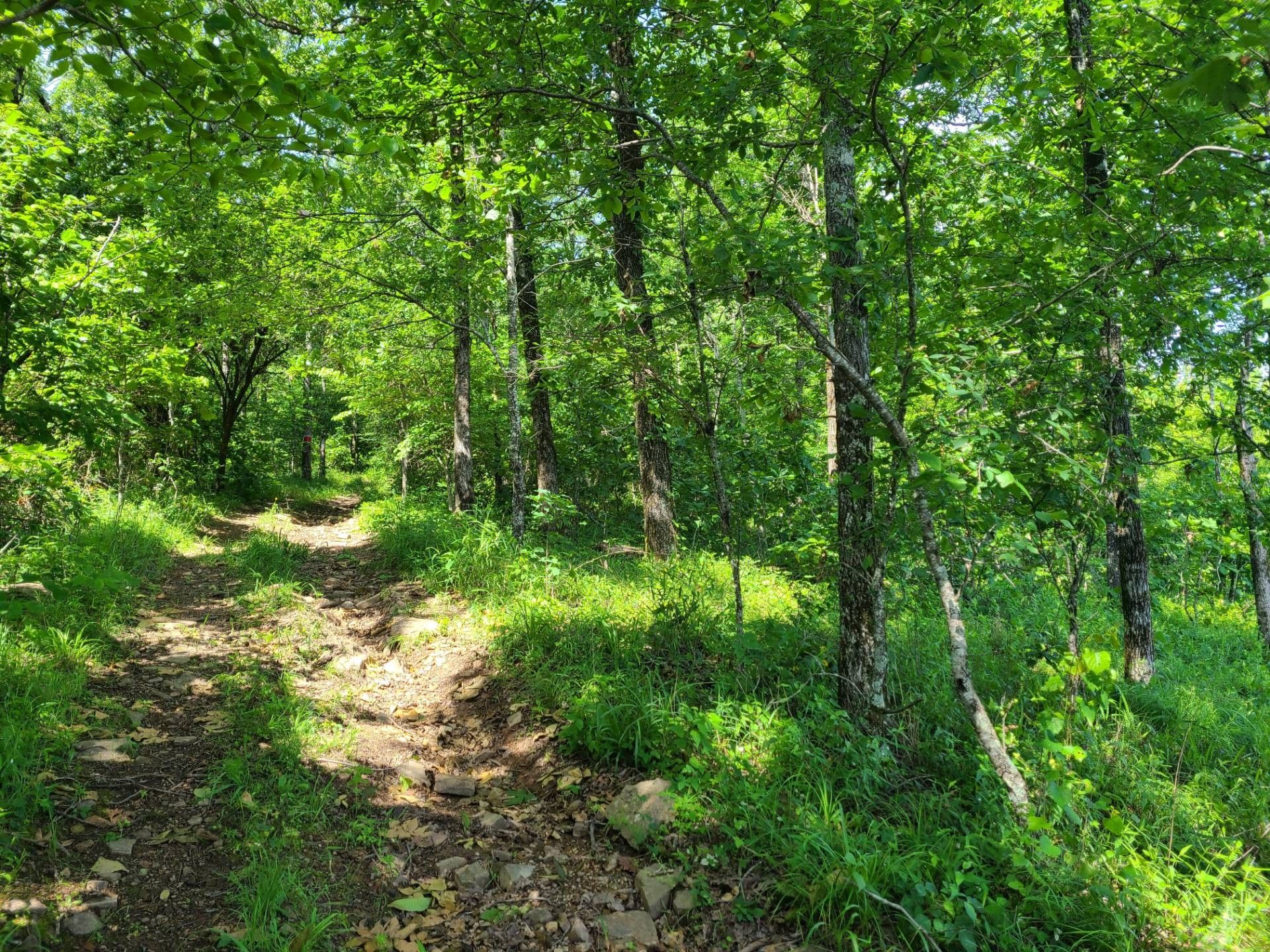 40 acres in Le Flore County, Oklahoma