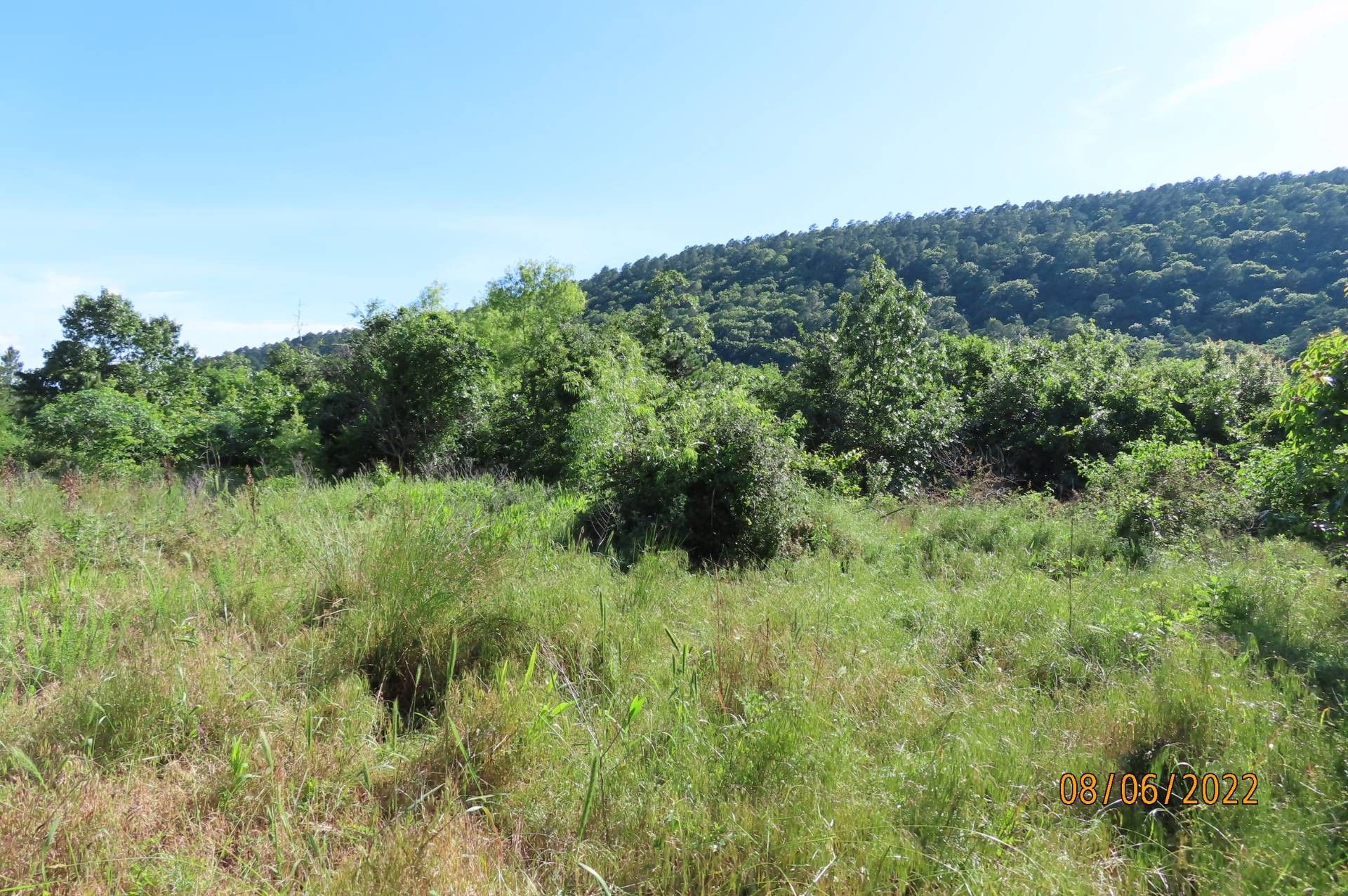20 acres in Pushmataha County, Oklahoma