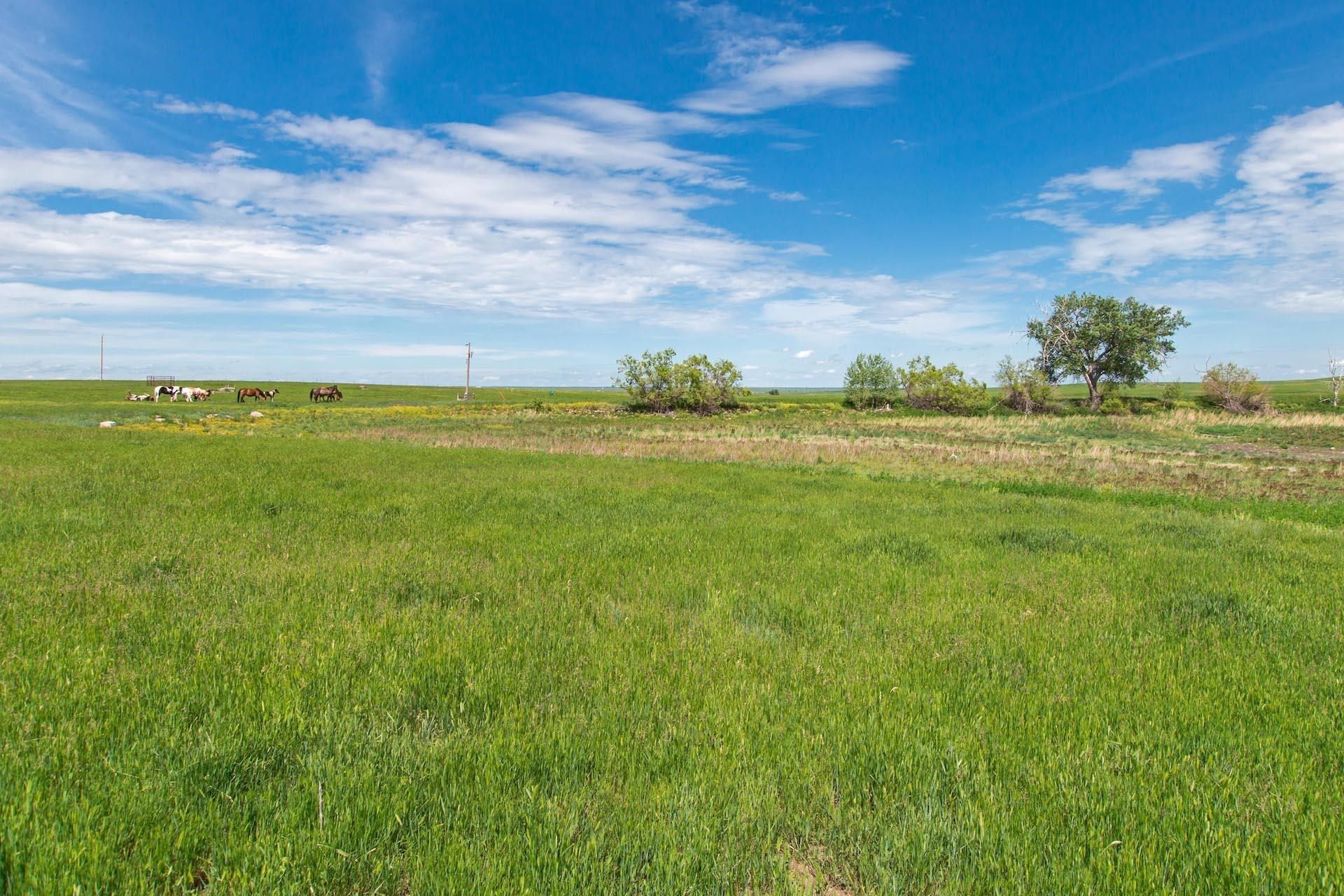 40 acres in Meade County, South Dakota