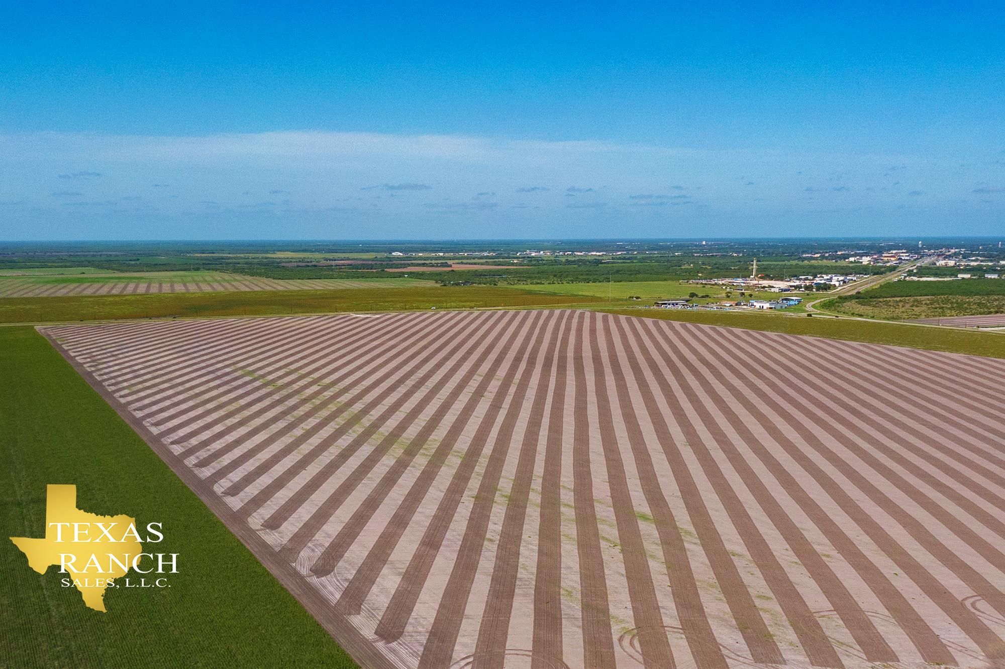 146 acres in Jim Wells County, Texas