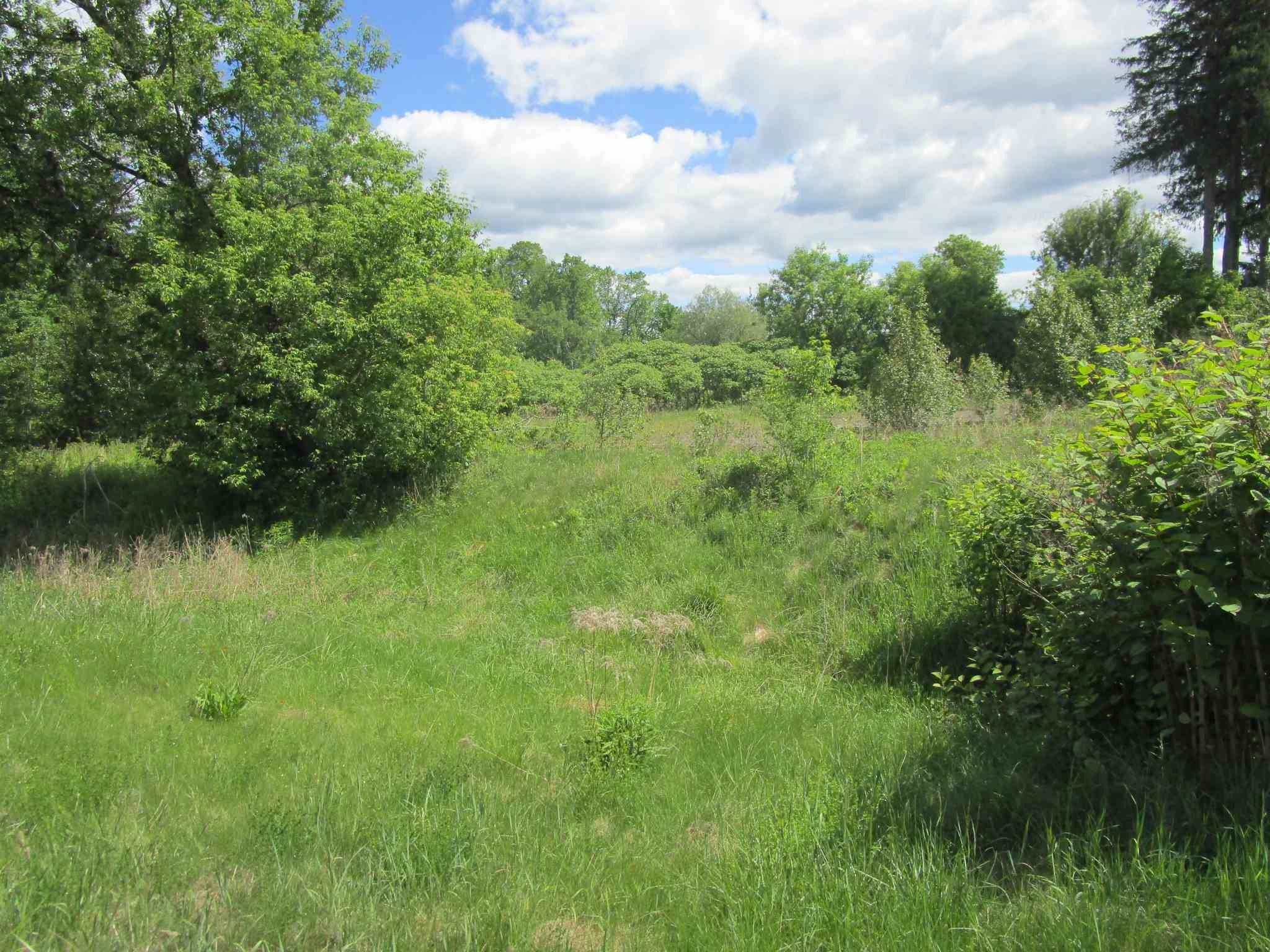 2 acres in Caledonia County, Vermont