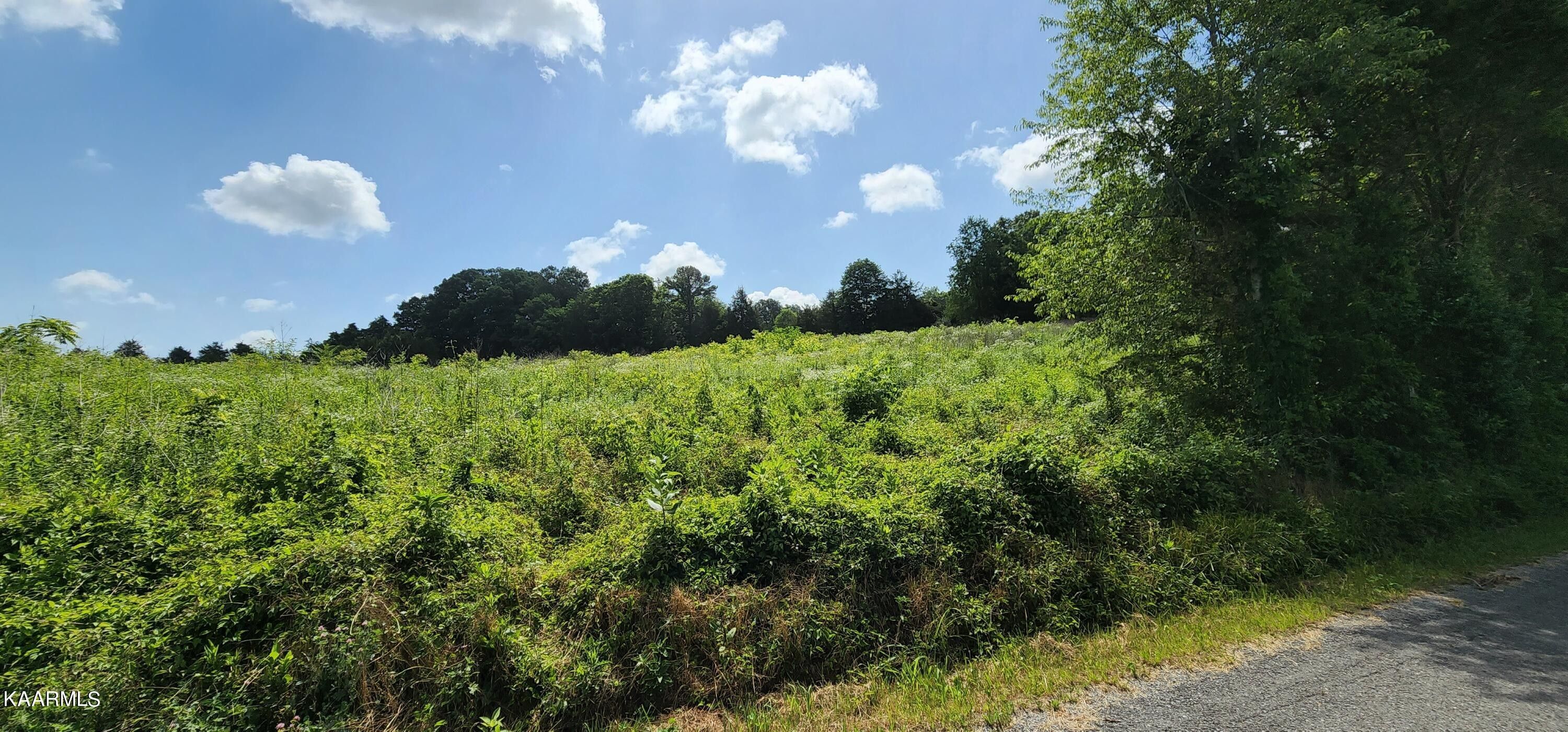 23.23 acres in Union County, Tennessee