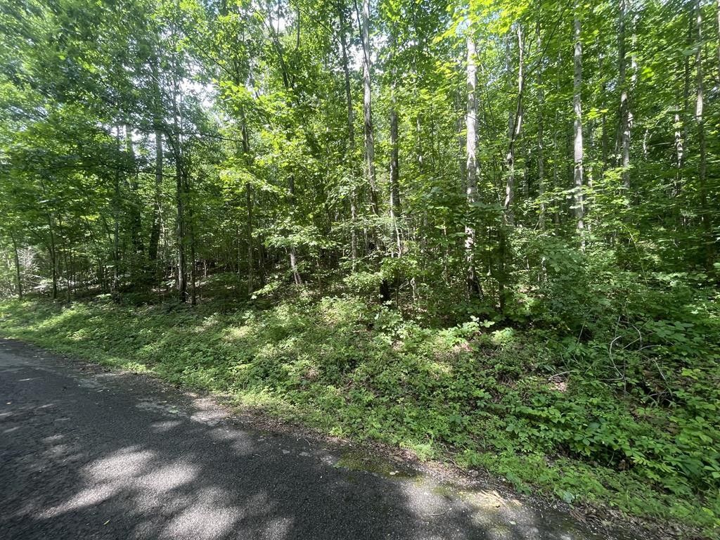 8.3 acres in Stewart County, Tennessee