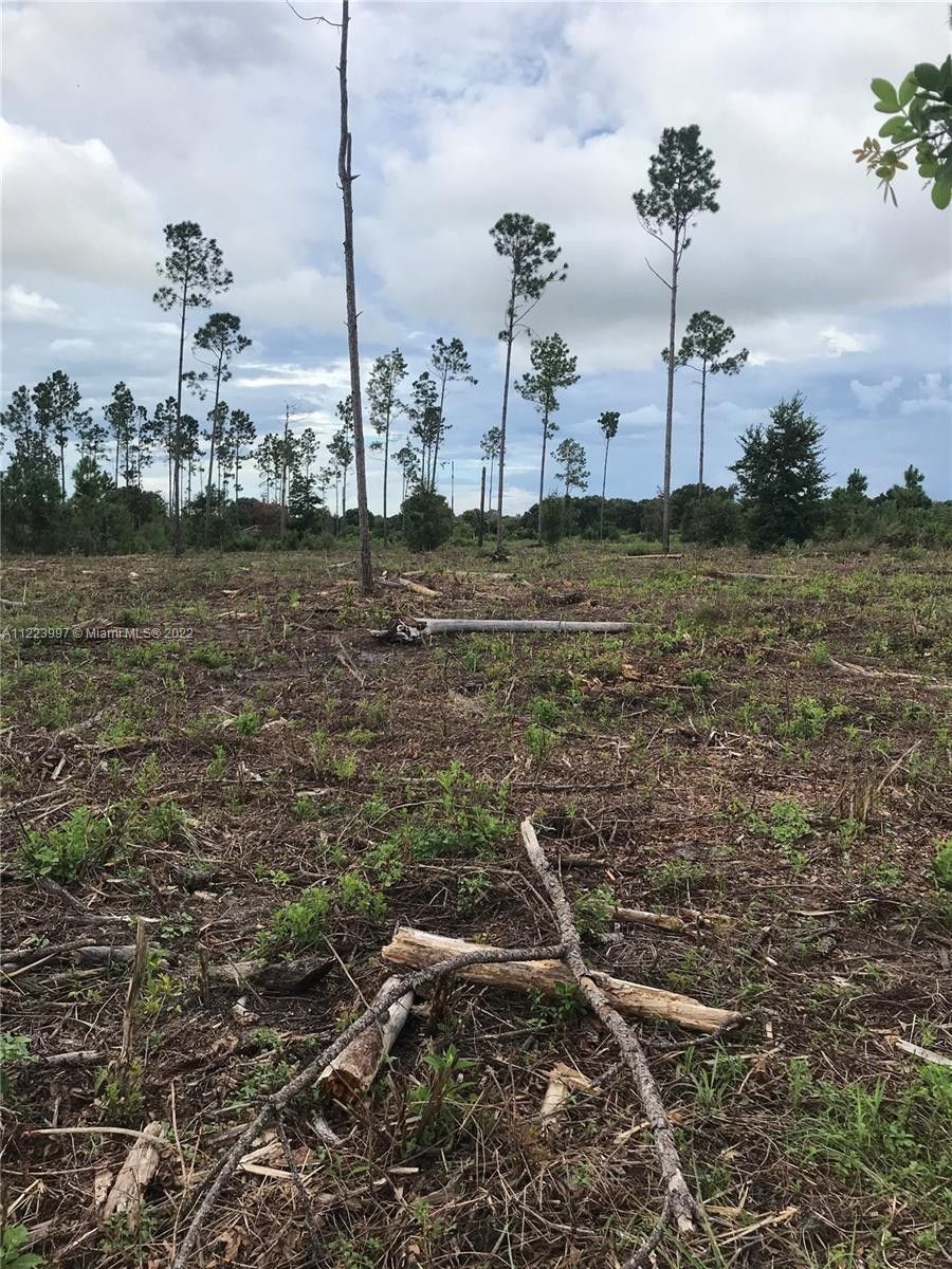 20 acres in Highlands County, Florida