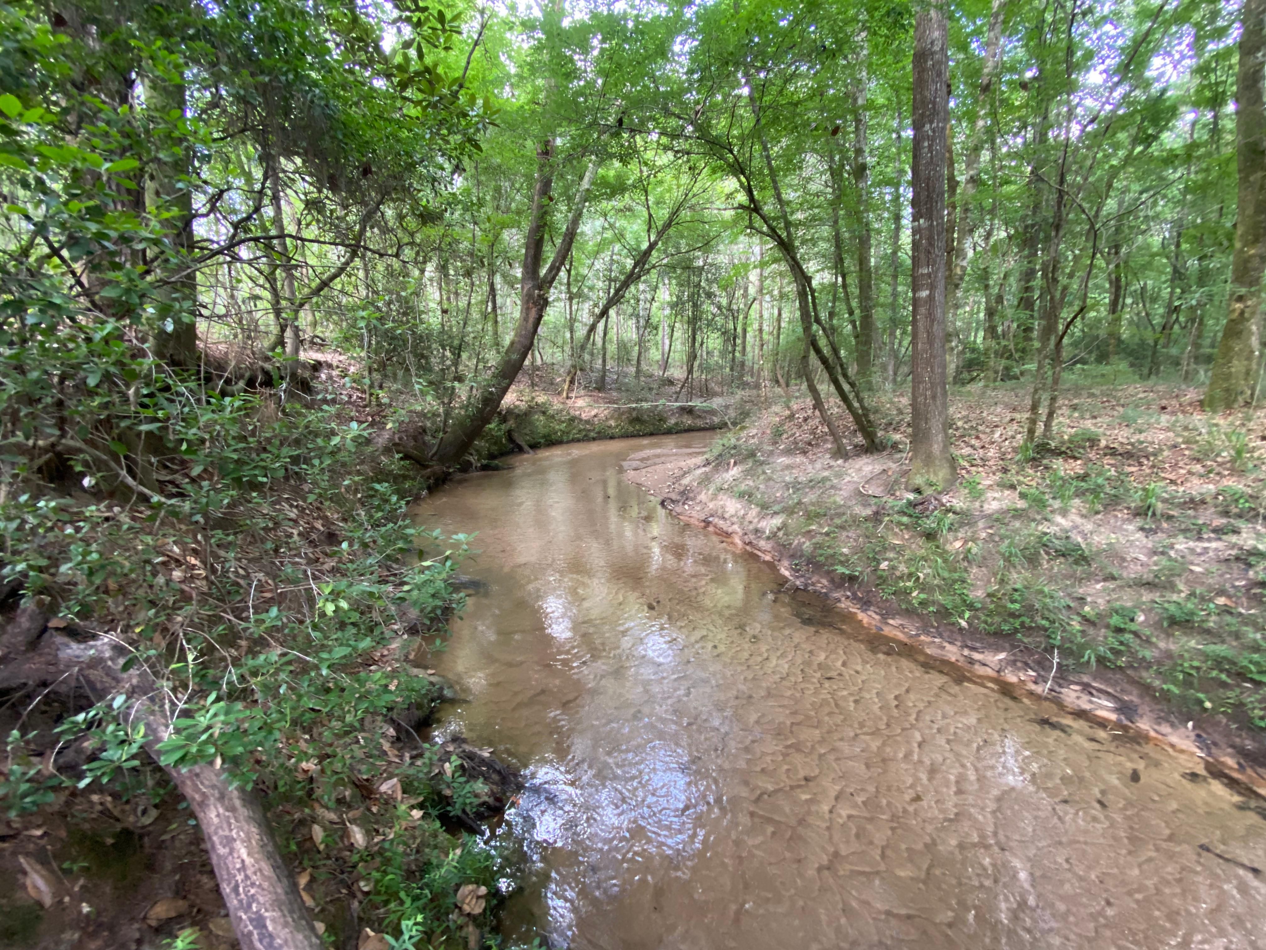 61 acres in Geneva County, Alabama