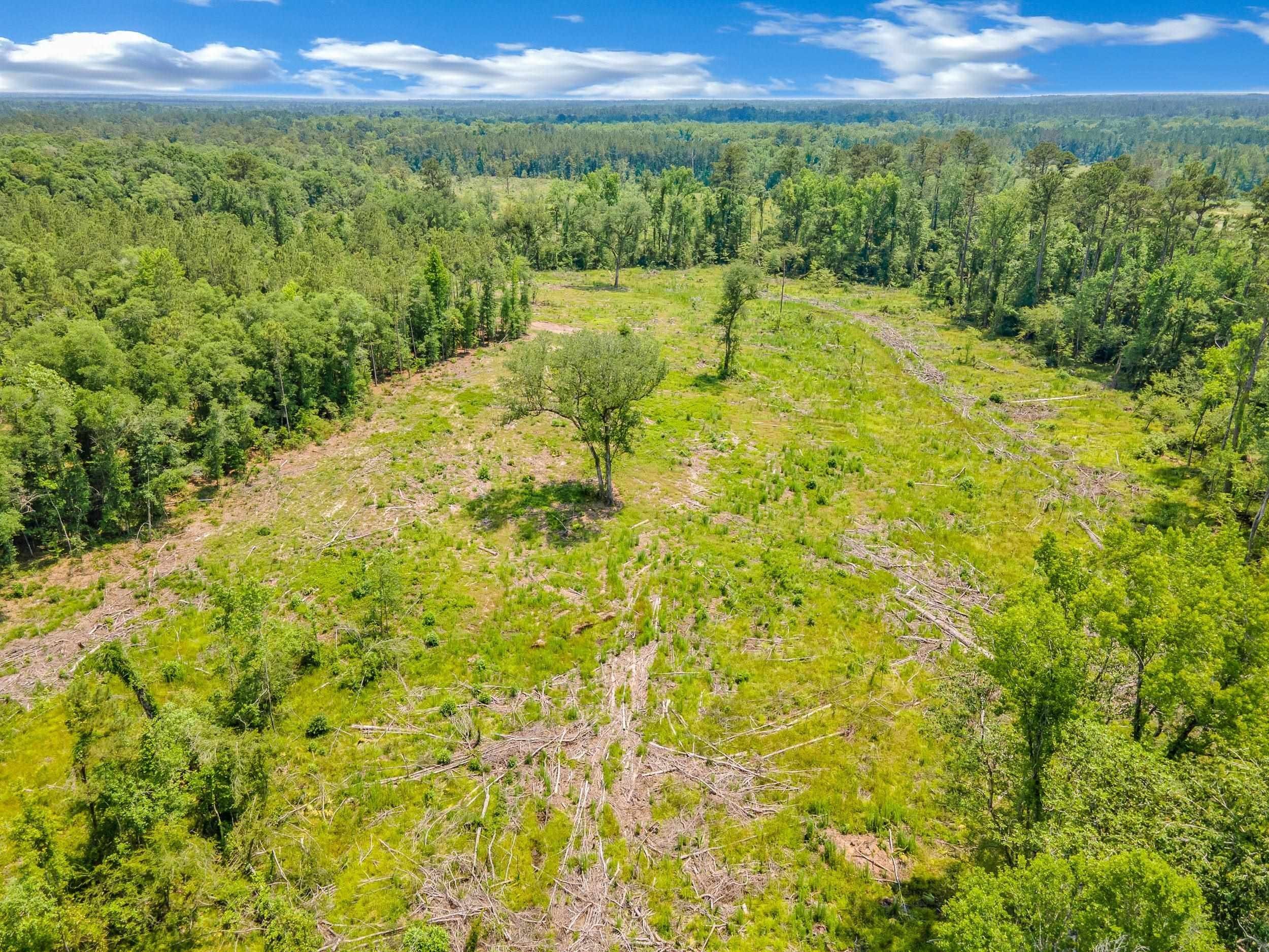 10 acres in Liberty County, Florida