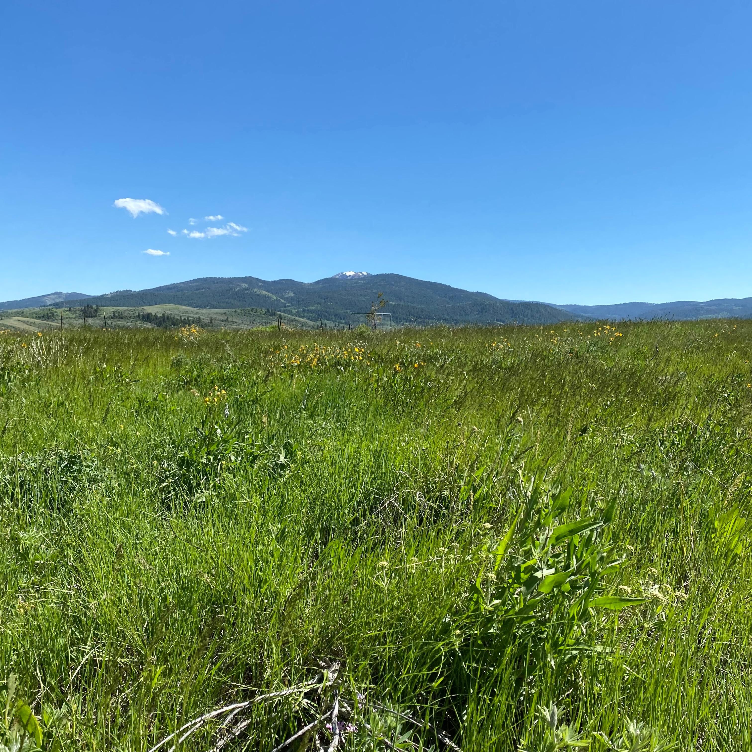 4.89 acres in Caribou County, Idaho