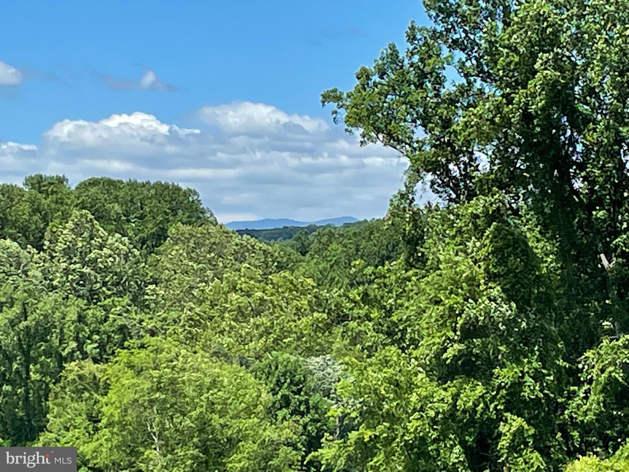 10 acres in Culpeper County, Virginia