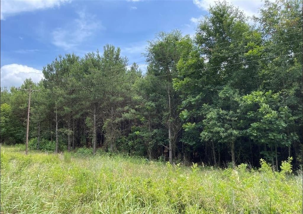 8 acres in McCurtain County, Oklahoma