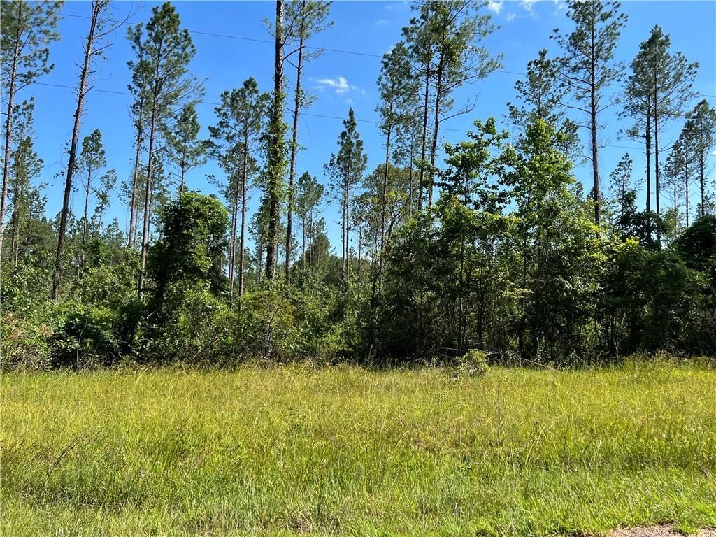 9.4 acres in Grant Parish, Louisiana