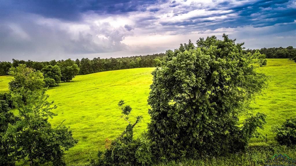 110 acres in Rusk County, Texas