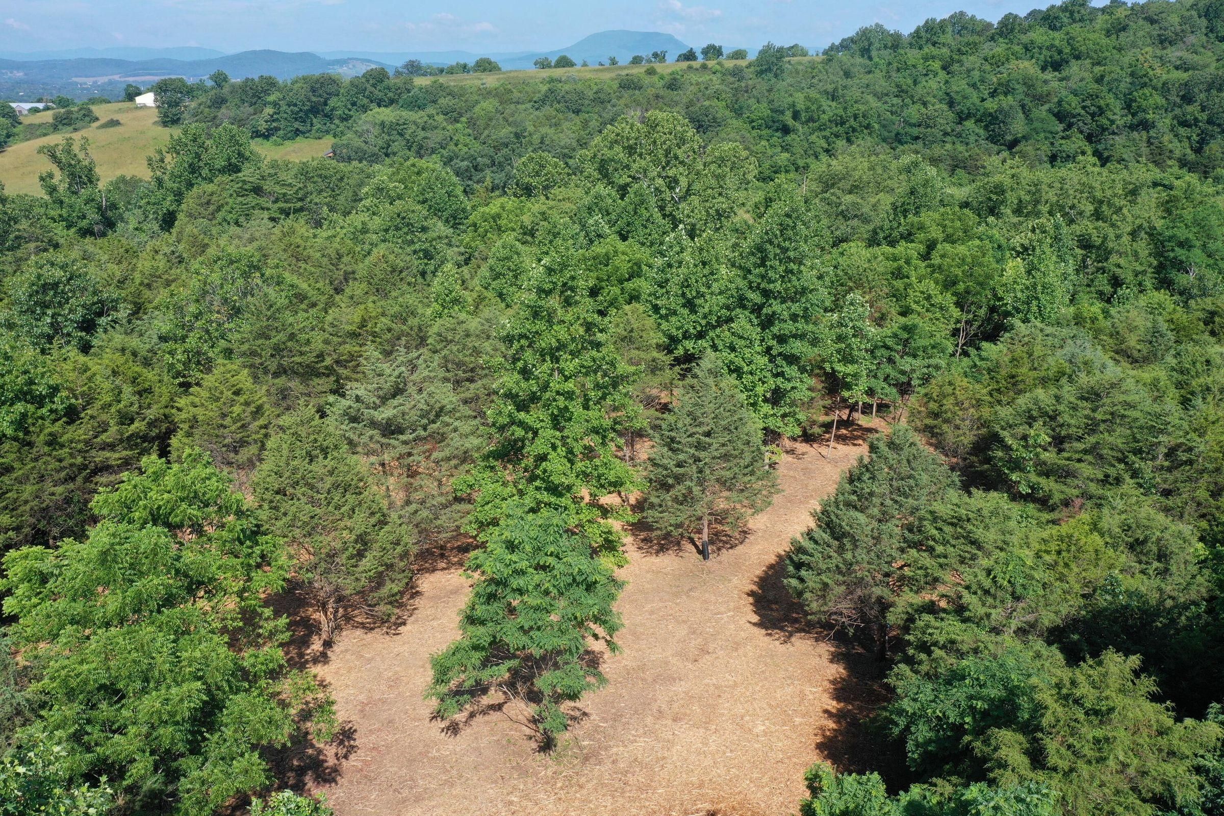 21 acres in Rockbridge County, Virginia