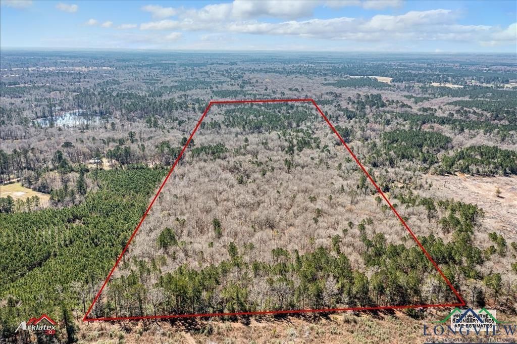 67.04 acres in Panola County, Texas