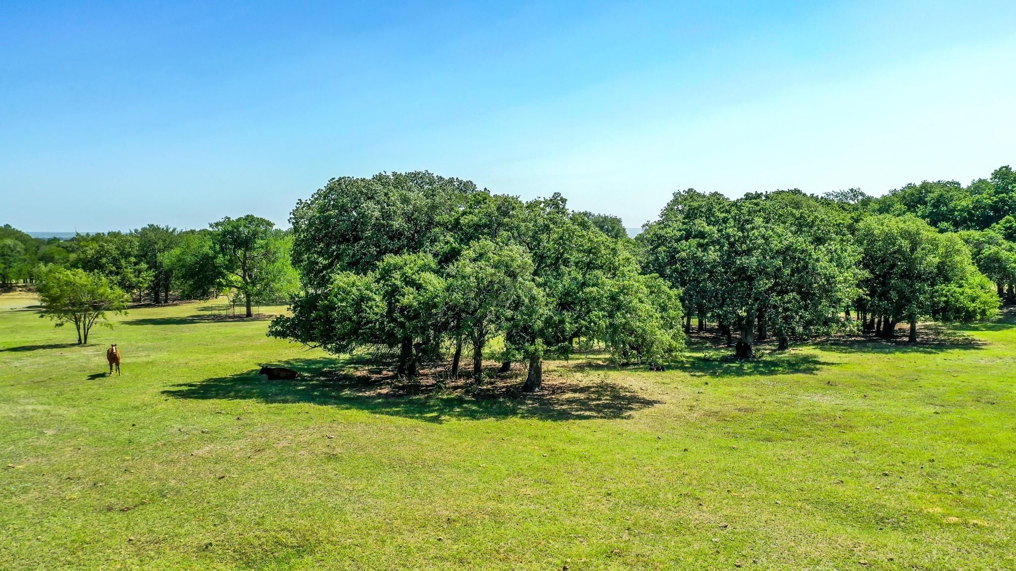 47 acres in Comanche County, Texas