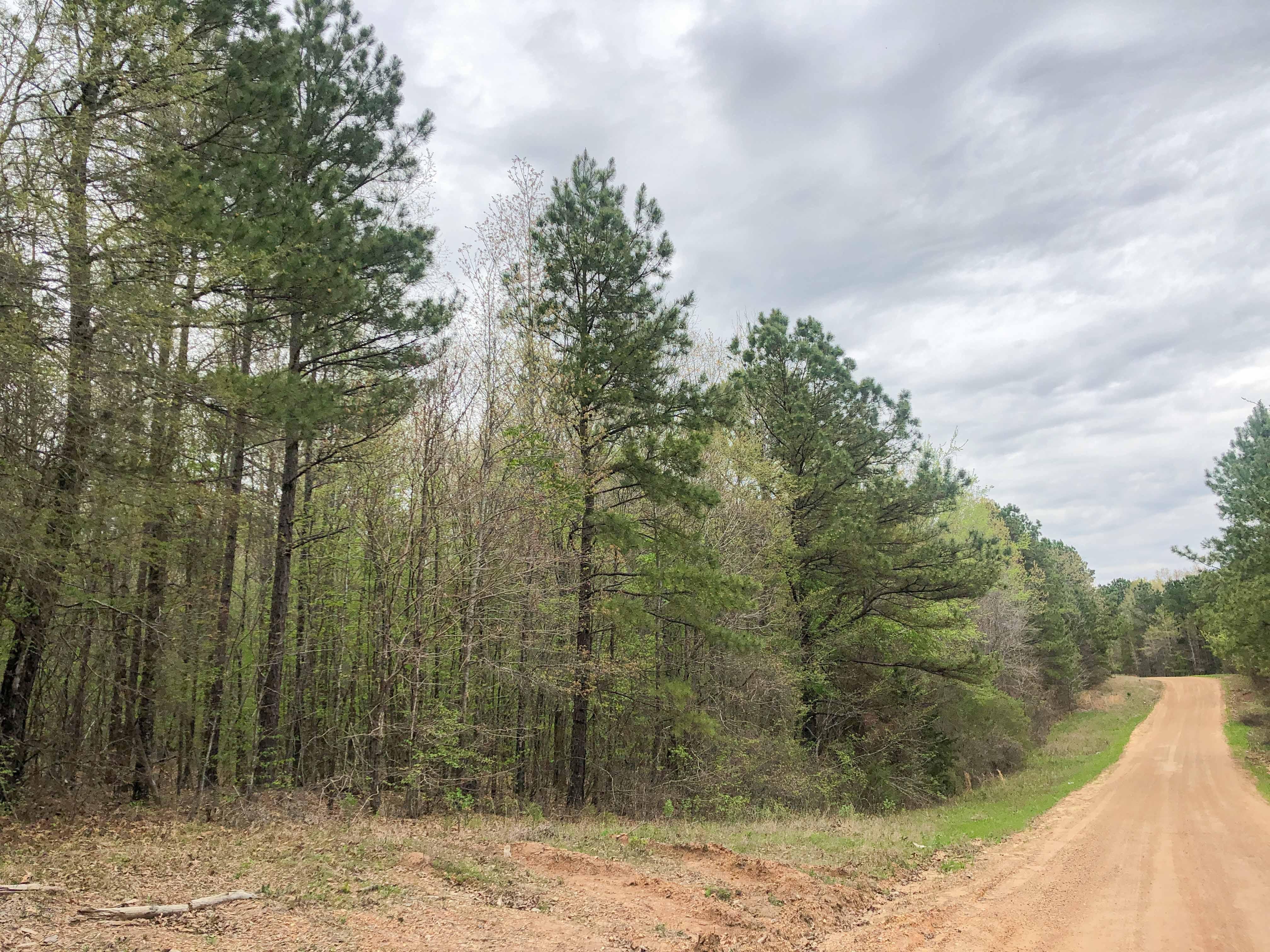 22.46 acres in Bowie County, Texas