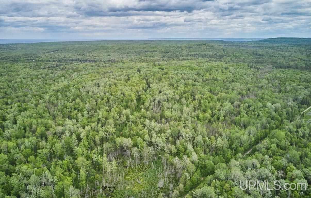 80 acres in Alger County, Michigan