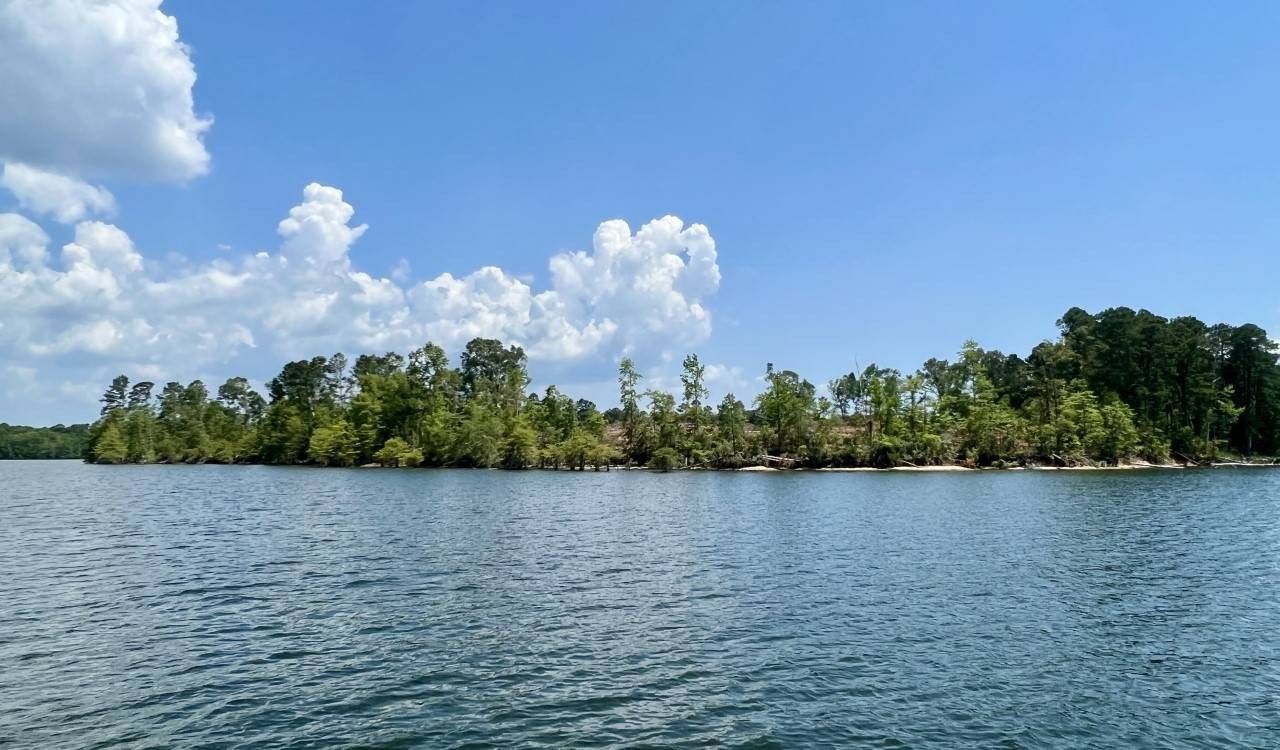 65.8 acres in Sabine Parish, Louisiana