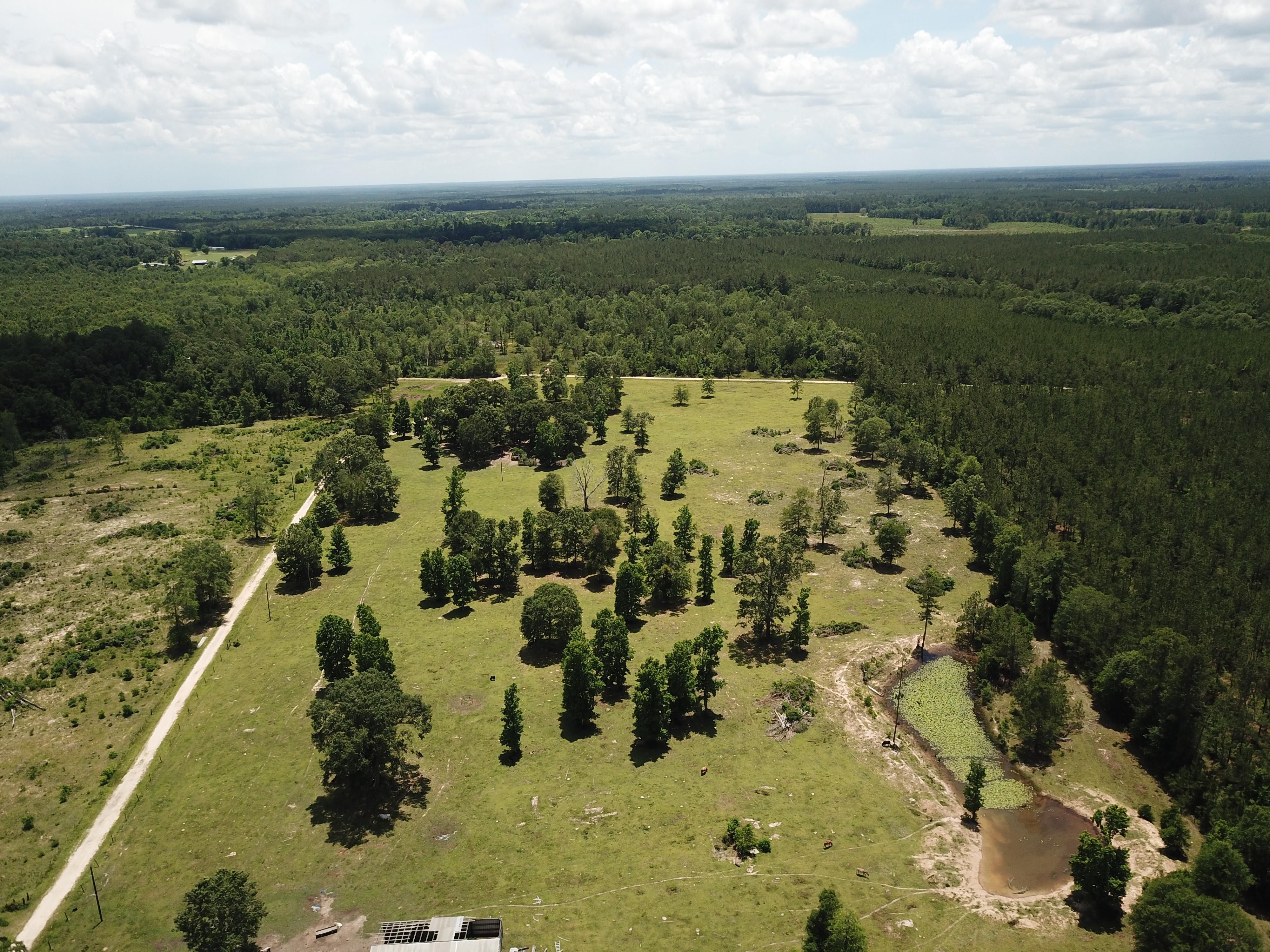 181 acres in Newton County, Texas