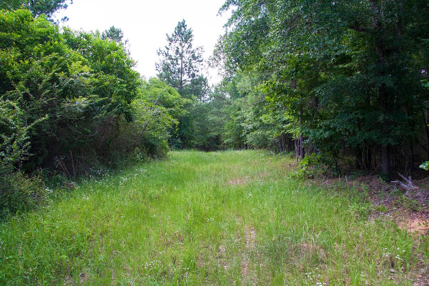54 acres in Richmond County,