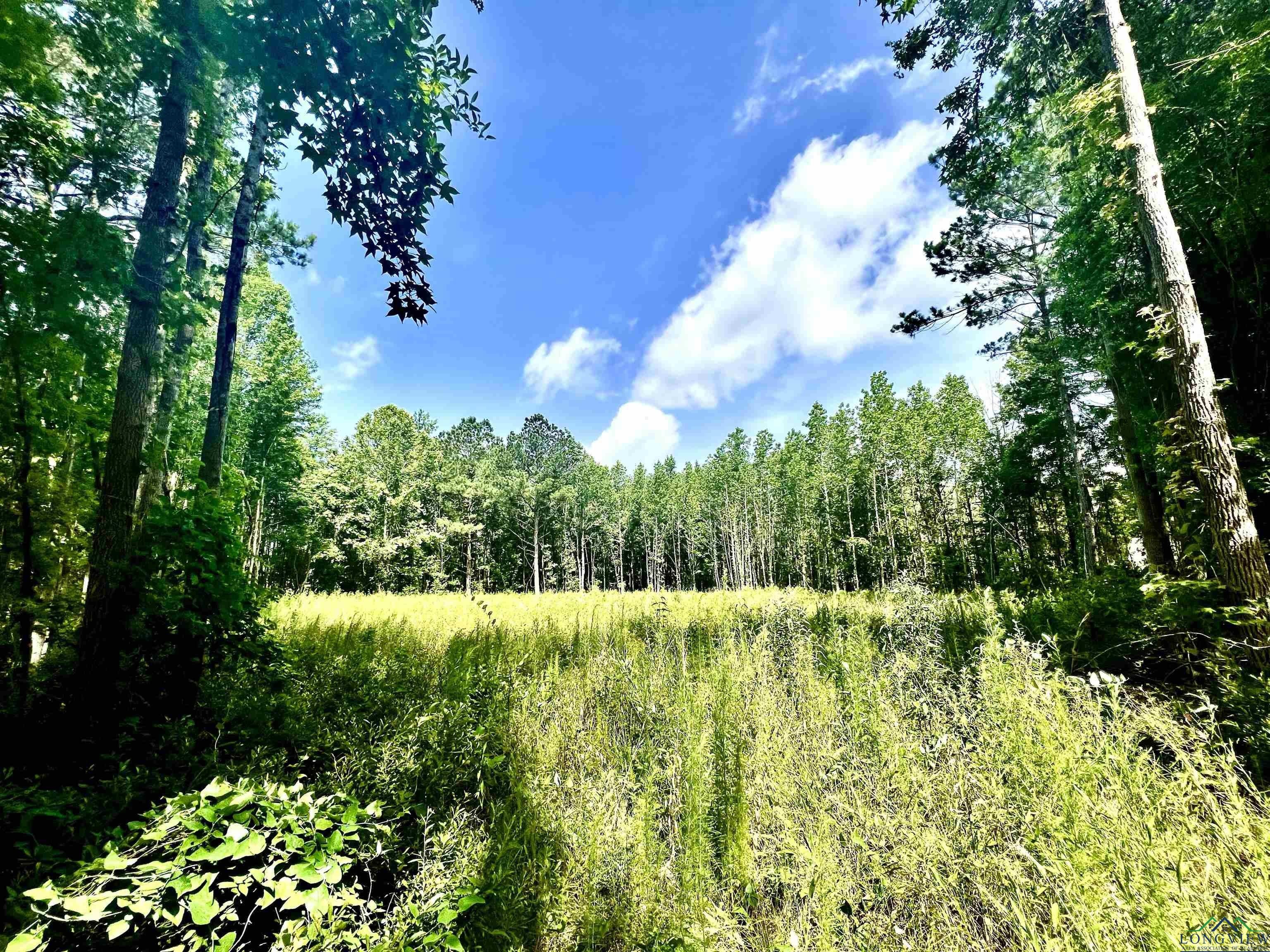 2 acres in Rusk County, Texas