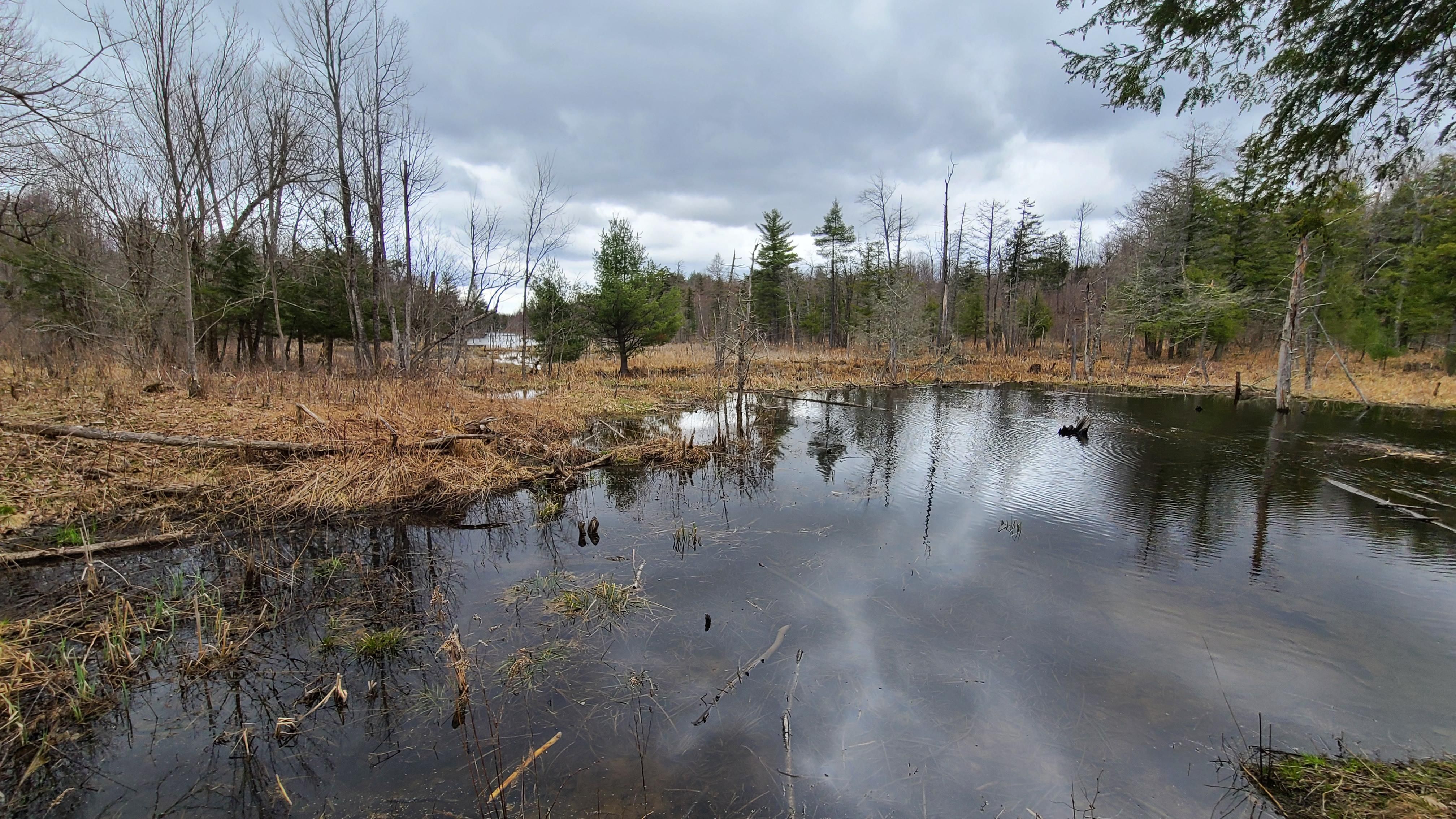 Broadcastify St Lawrence County - 7813gf2