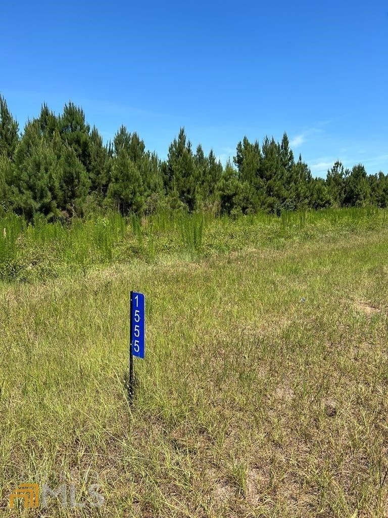 5 acres in Laurens County,