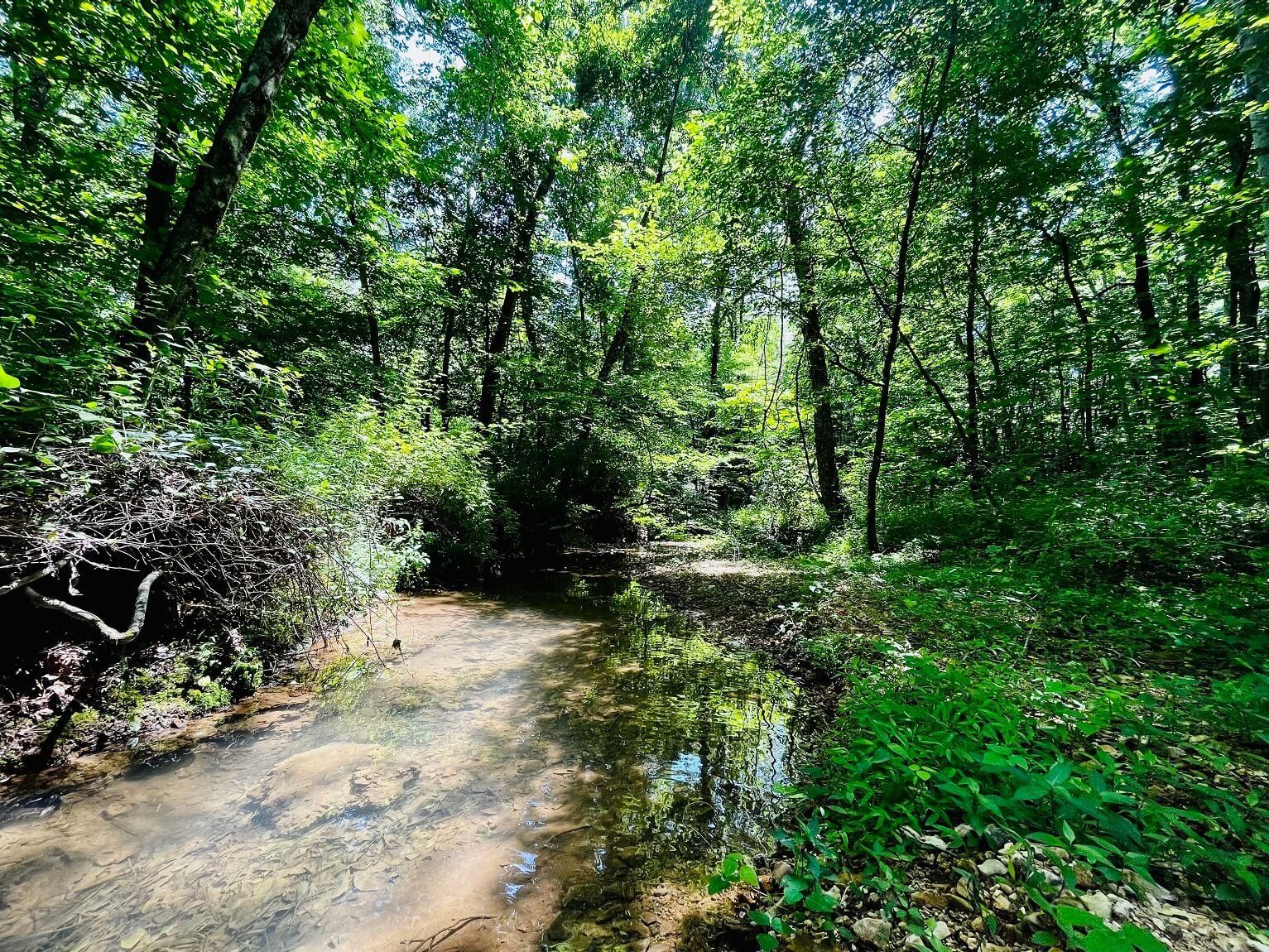 13 acres in Benton County, Tennessee