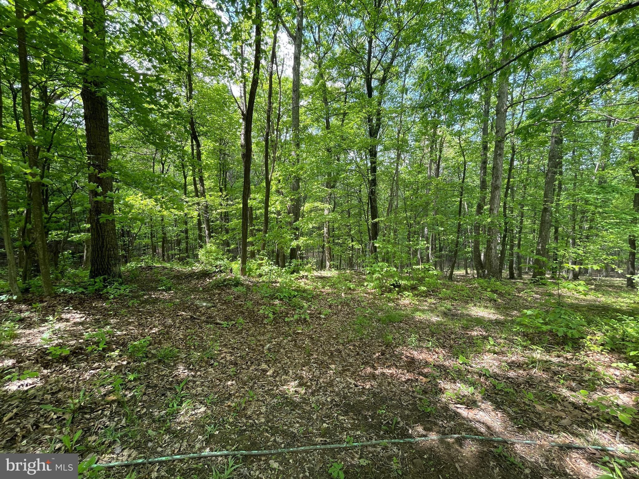2.04 acres in Hampshire County, West Virginia