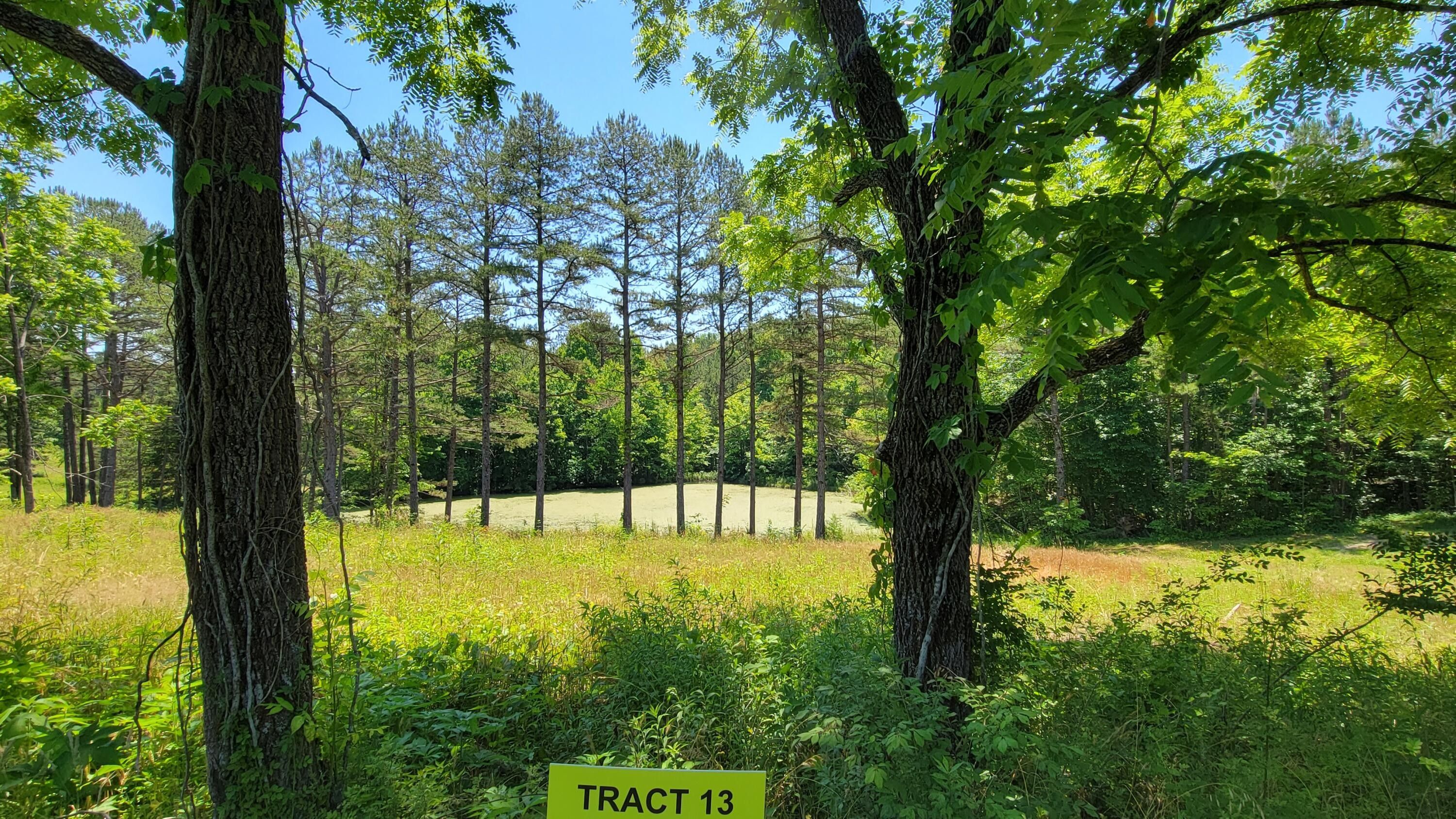 5 acres in Laurel County, Kentucky