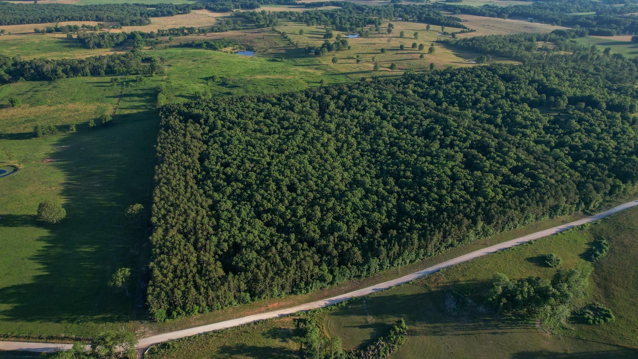 40 acres in Howell County, Missouri