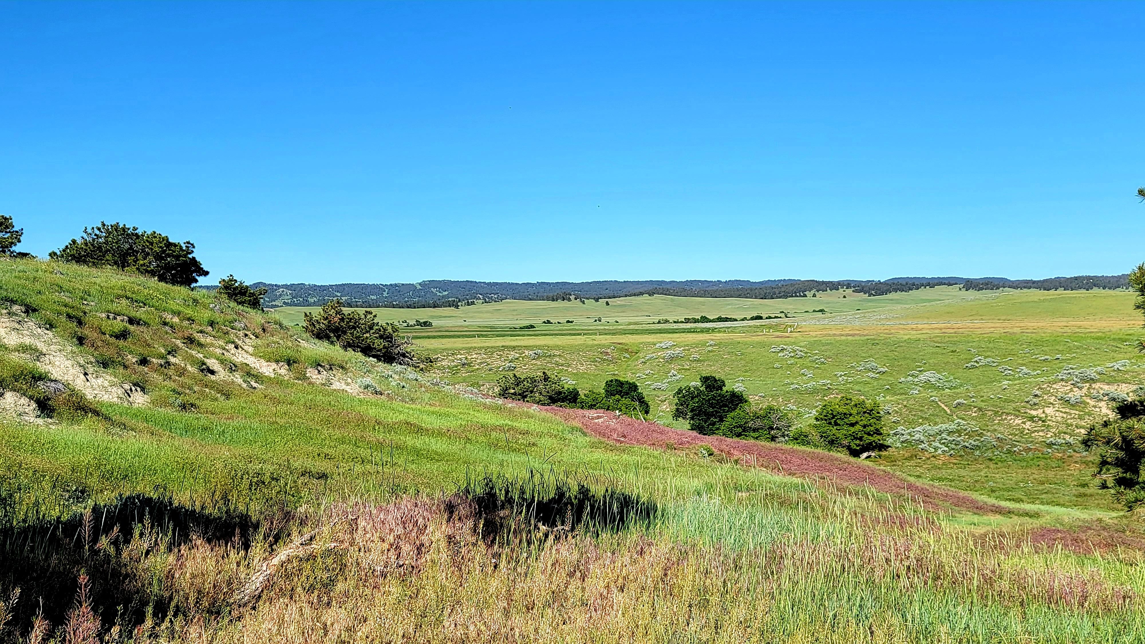 8 Ranch Creek Trail, Biddle, MT 59314