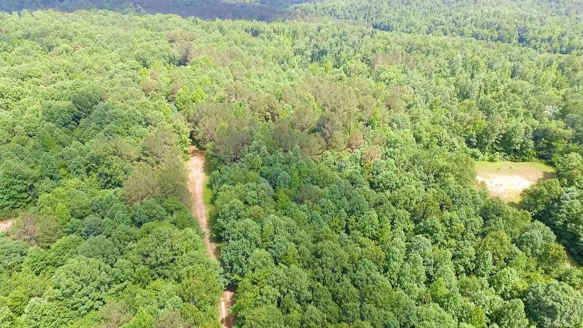 284 acres in Hardeman County, Tennessee